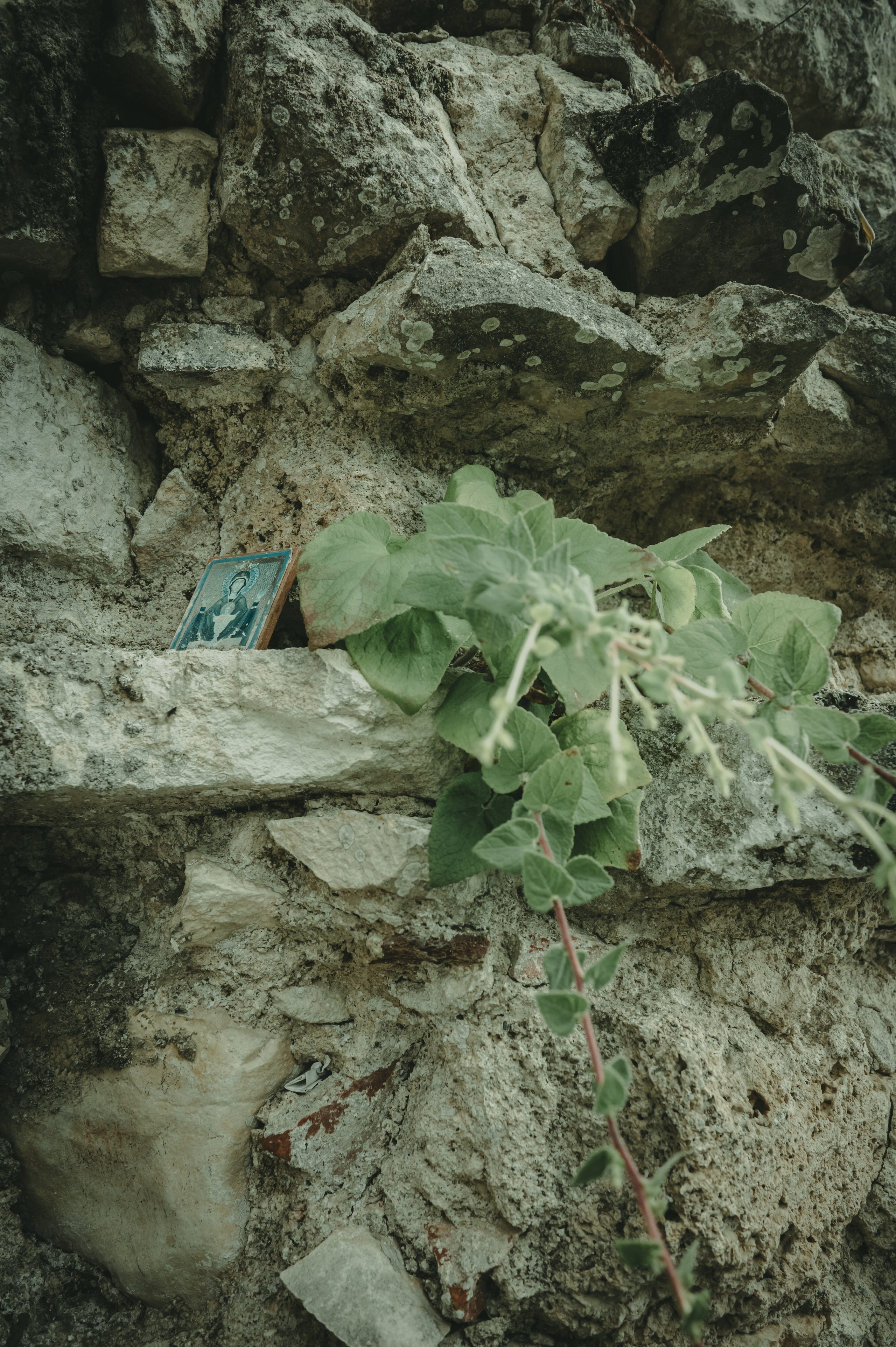 Абхазия. Женский фотограф Крещение Венчание Москва Брянск