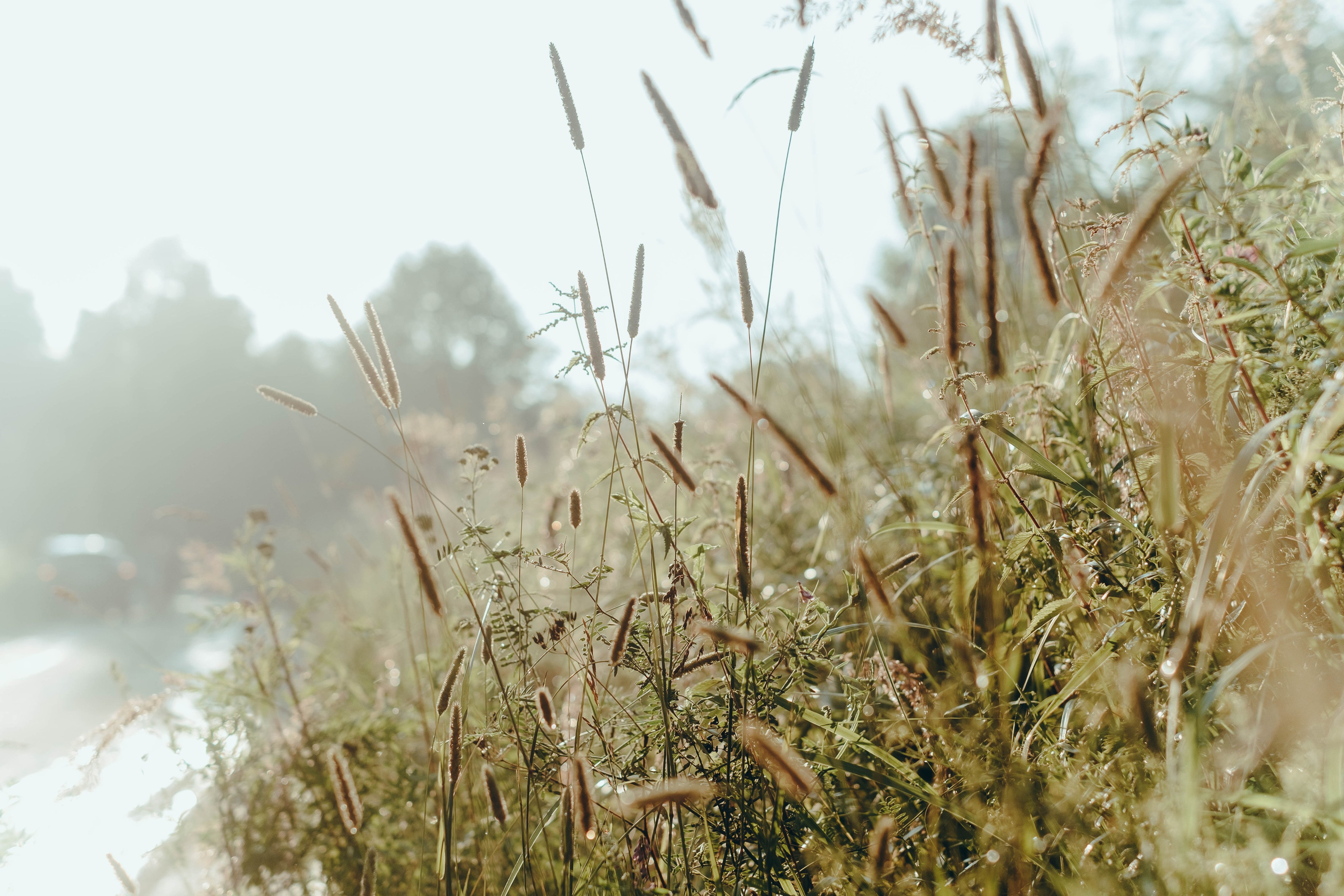 Бессонница 2025. Фотограф Аннё| Москва