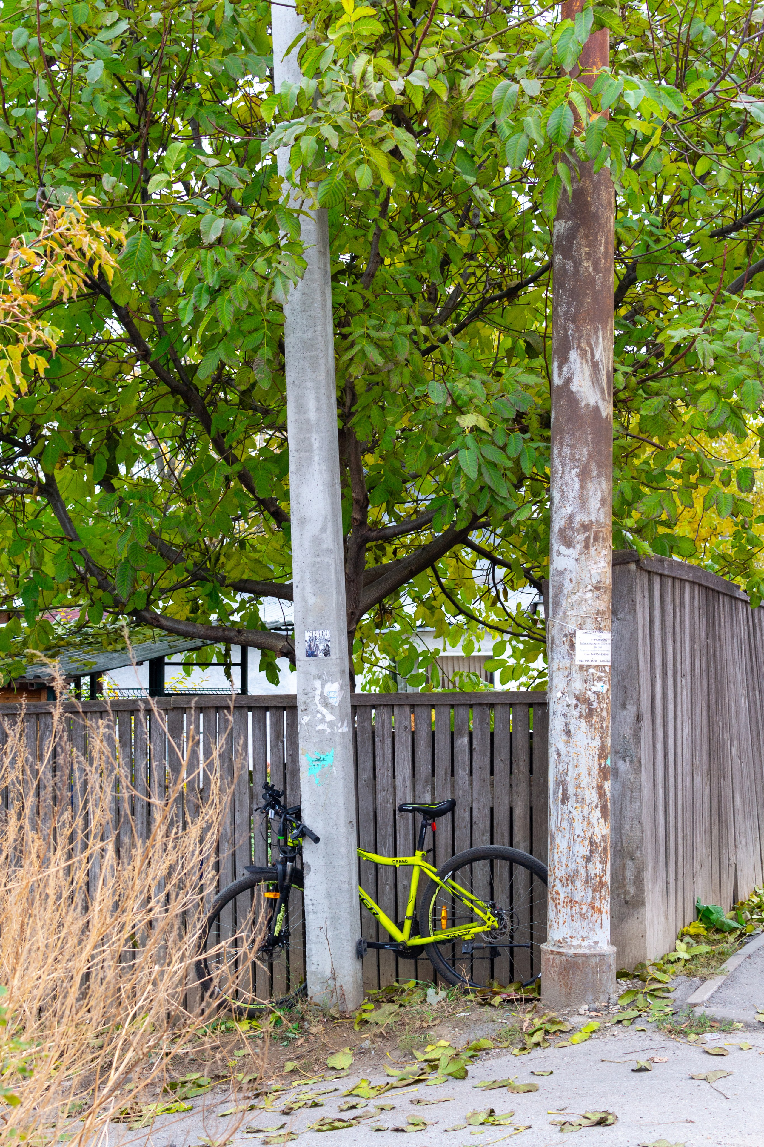 Старенький Nikon 3100 и nikkor 35 mm 1.8 (фото проявленные из RAW-NEF файлов). Фотограф в Туле Крупский АнДРей. Фотостудия «КАДР71» в Туле