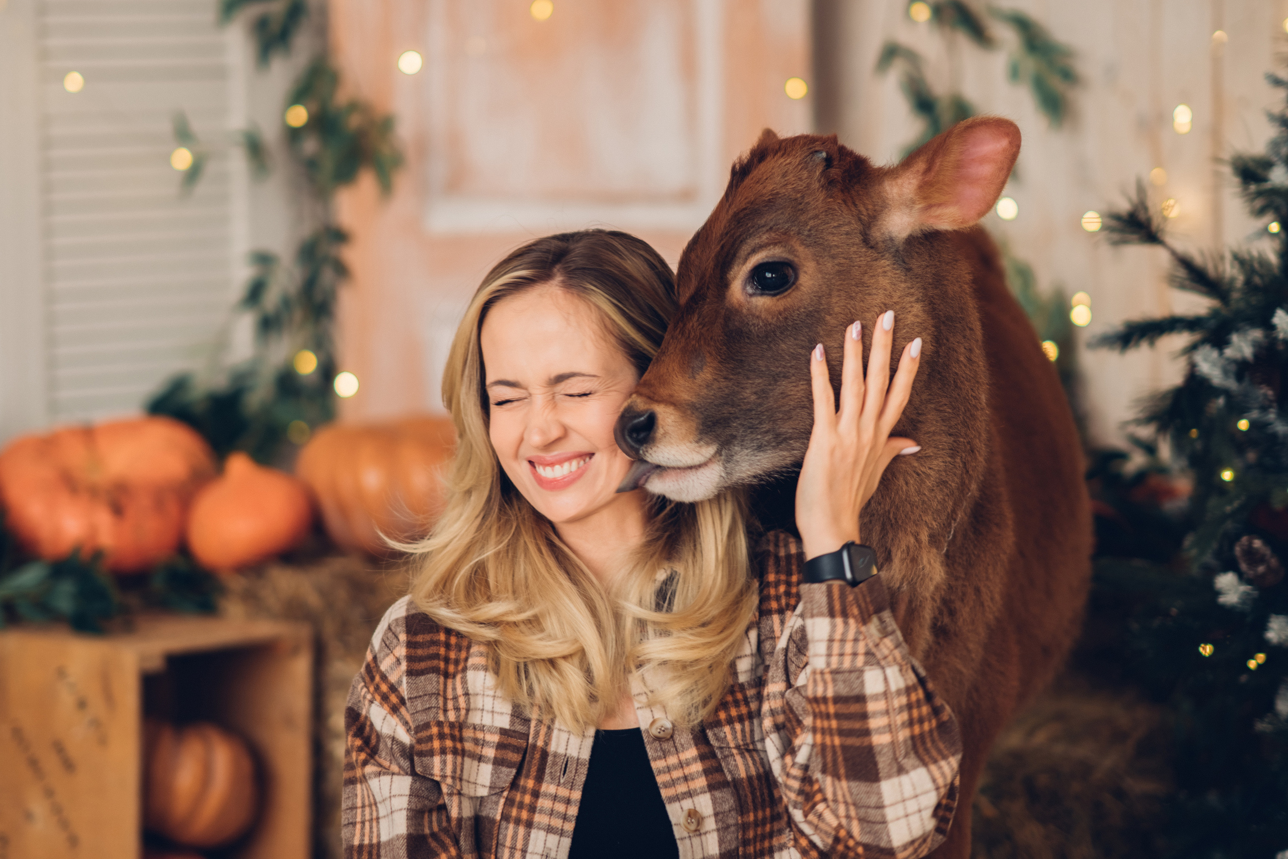 Однажды в канун Нового года… Новогодняя фотосессия. Профессиональный детский и семейный фотограф в Москве Диля Грошева