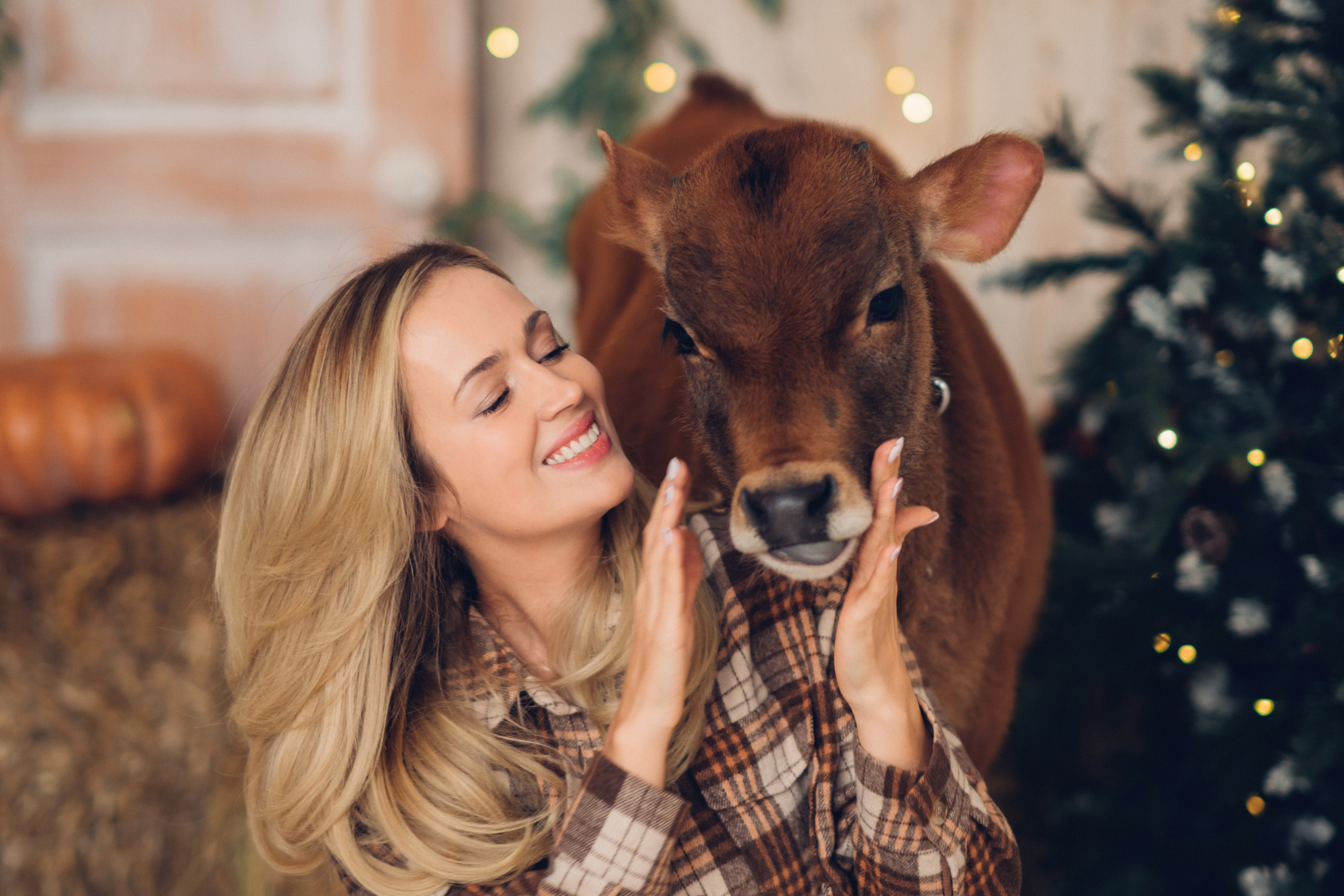 Однажды в канун Нового года… Новогодняя фотосессия. Профессиональный детский и семейный фотограф в Москве Диля Грошева