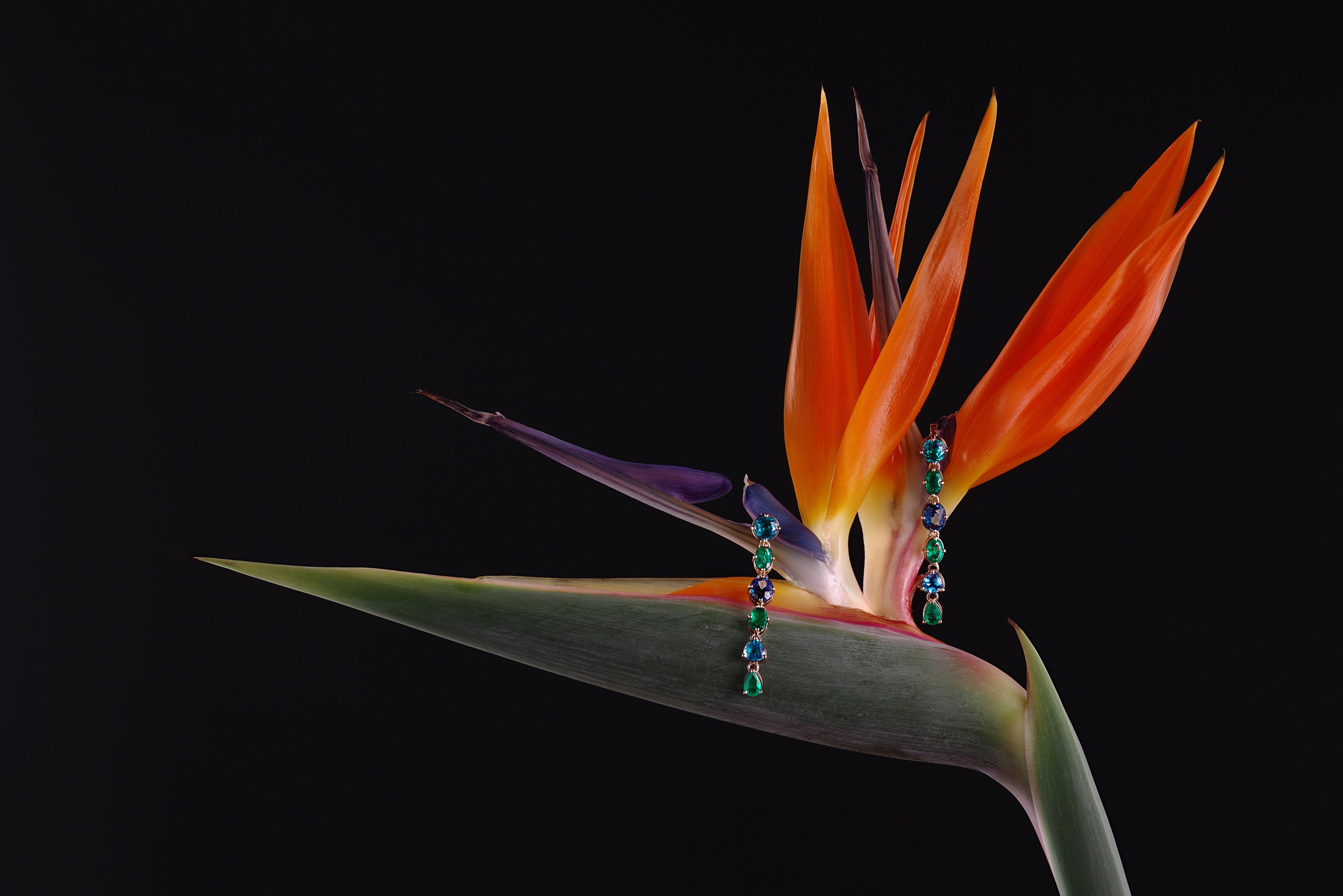 Ювелирный фотограф в Ростове на-Дону