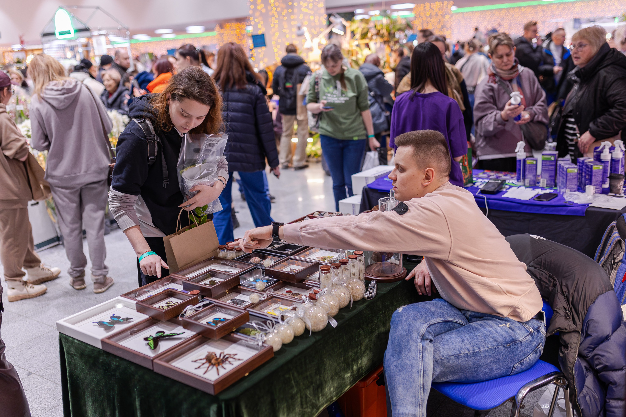 Орхидиум 12.2025. Александра Куликова фотограф, Москва