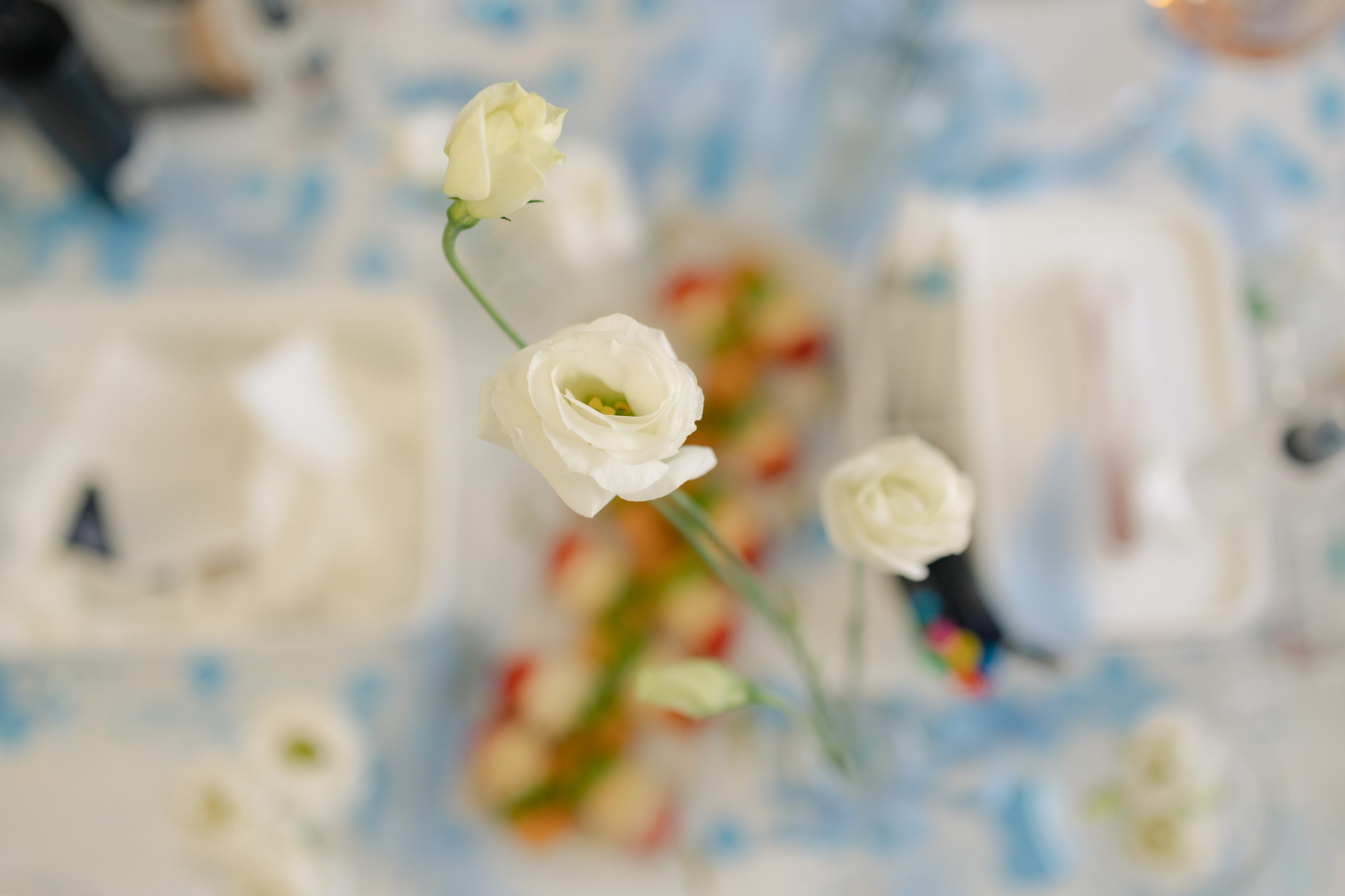 Rewax 29.07.24. Репортажный и портретный фотограф в Санктпетербурге. Видиосъемка мероприятий в Санкт-Петербурге