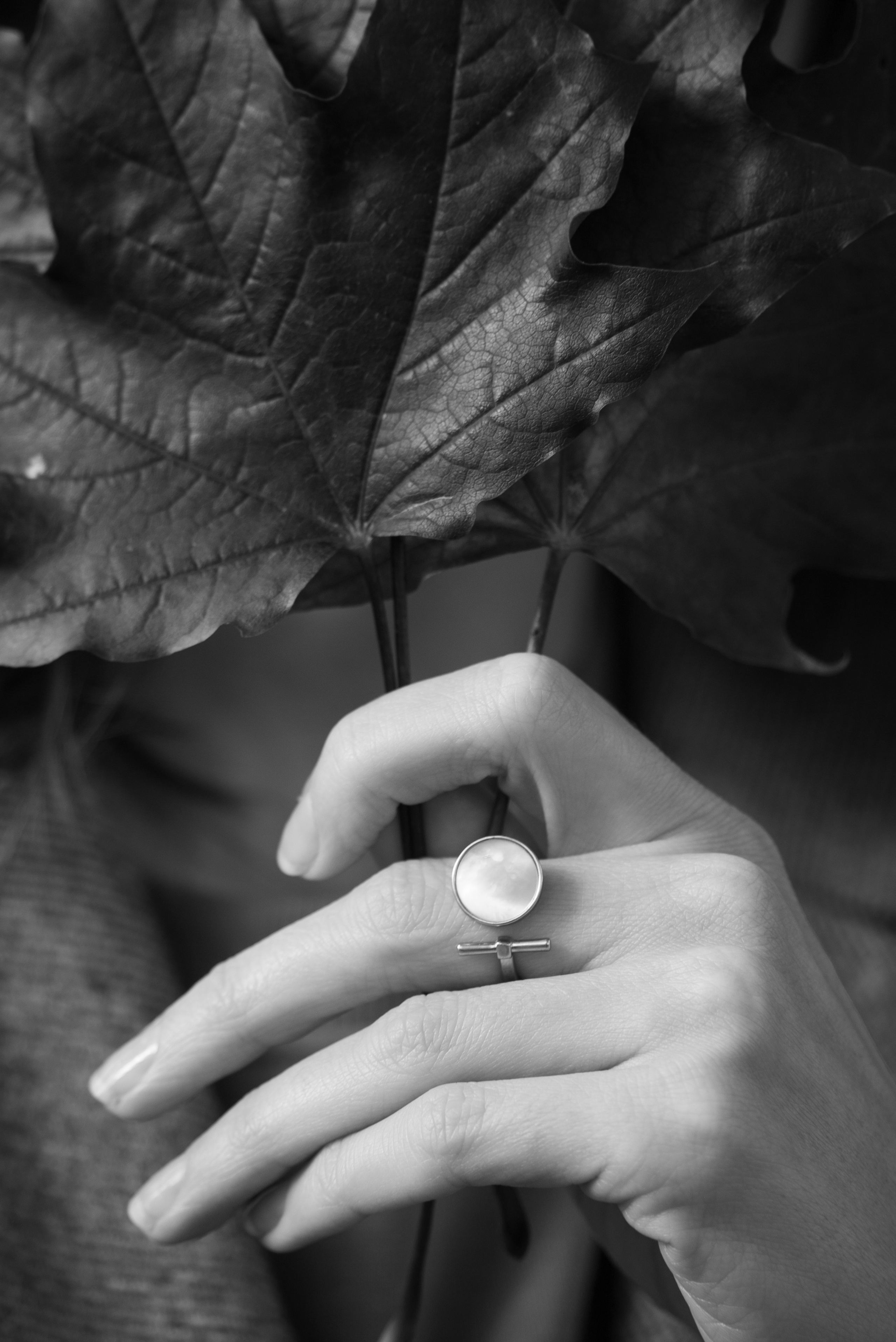 Золотая осень. Видеограф Осинина Татьяна — видеосъемка в Москве