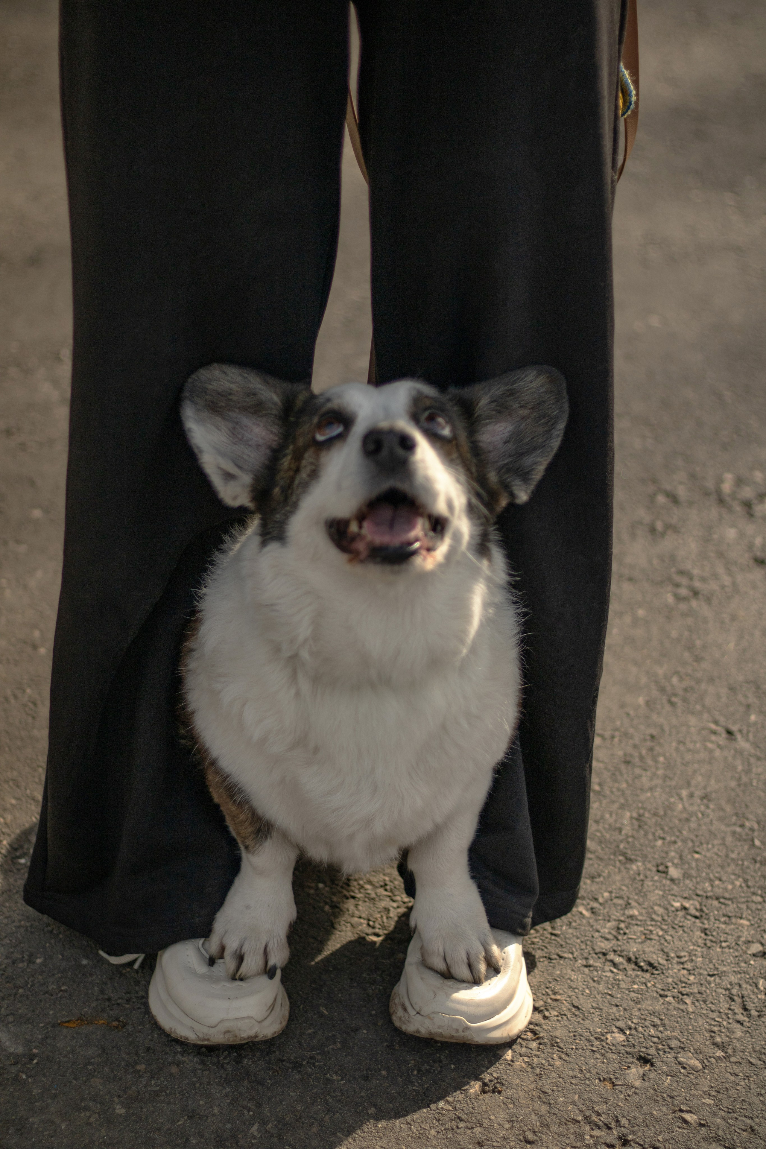Юлия и Тэя. Катя Попова|ЛайфСтайл фотограф