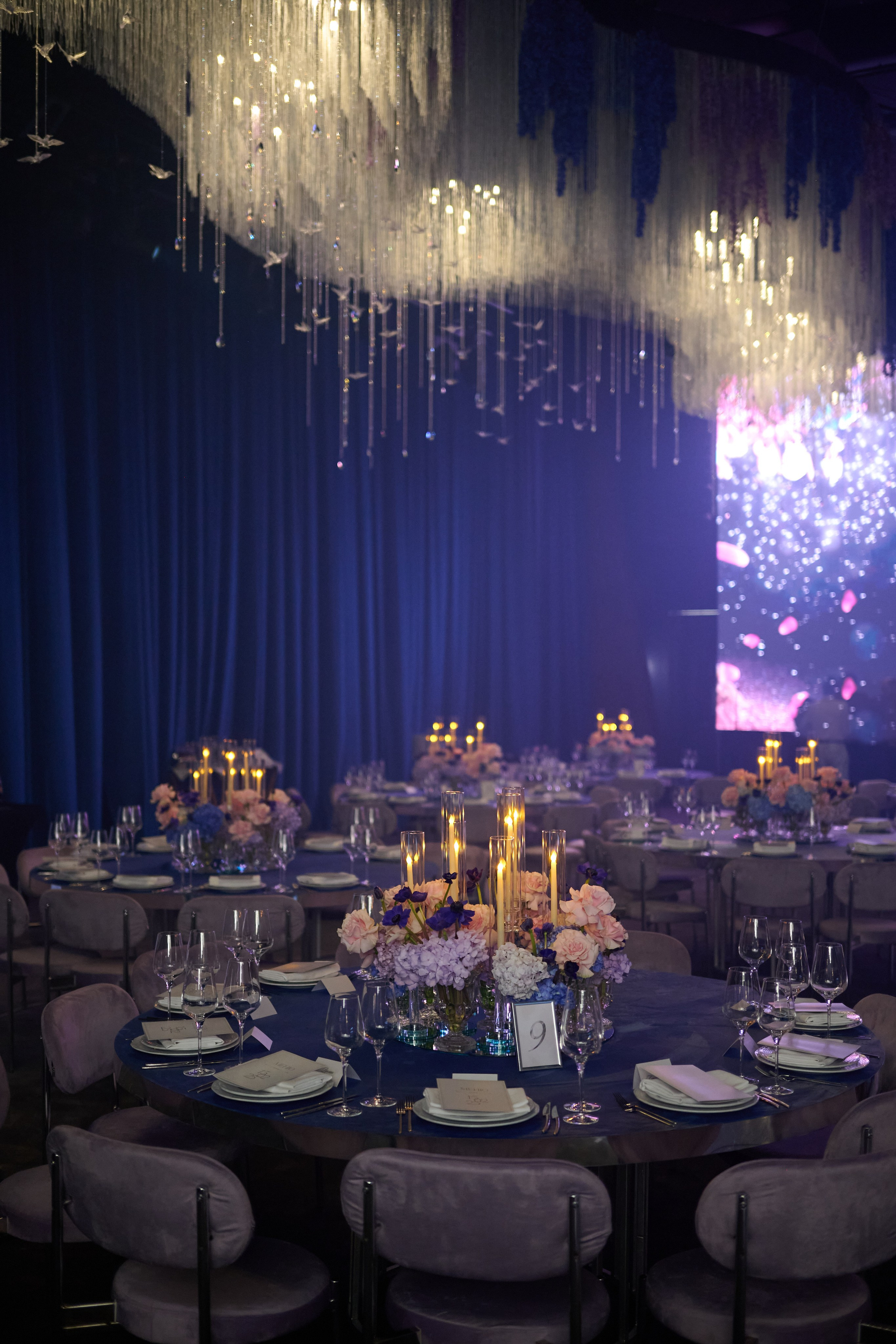 Колибри. Репортажный фотограф в Москве и Санкт-Петербурге — Профессиональная съёмка мероприятий | Данила Золкин