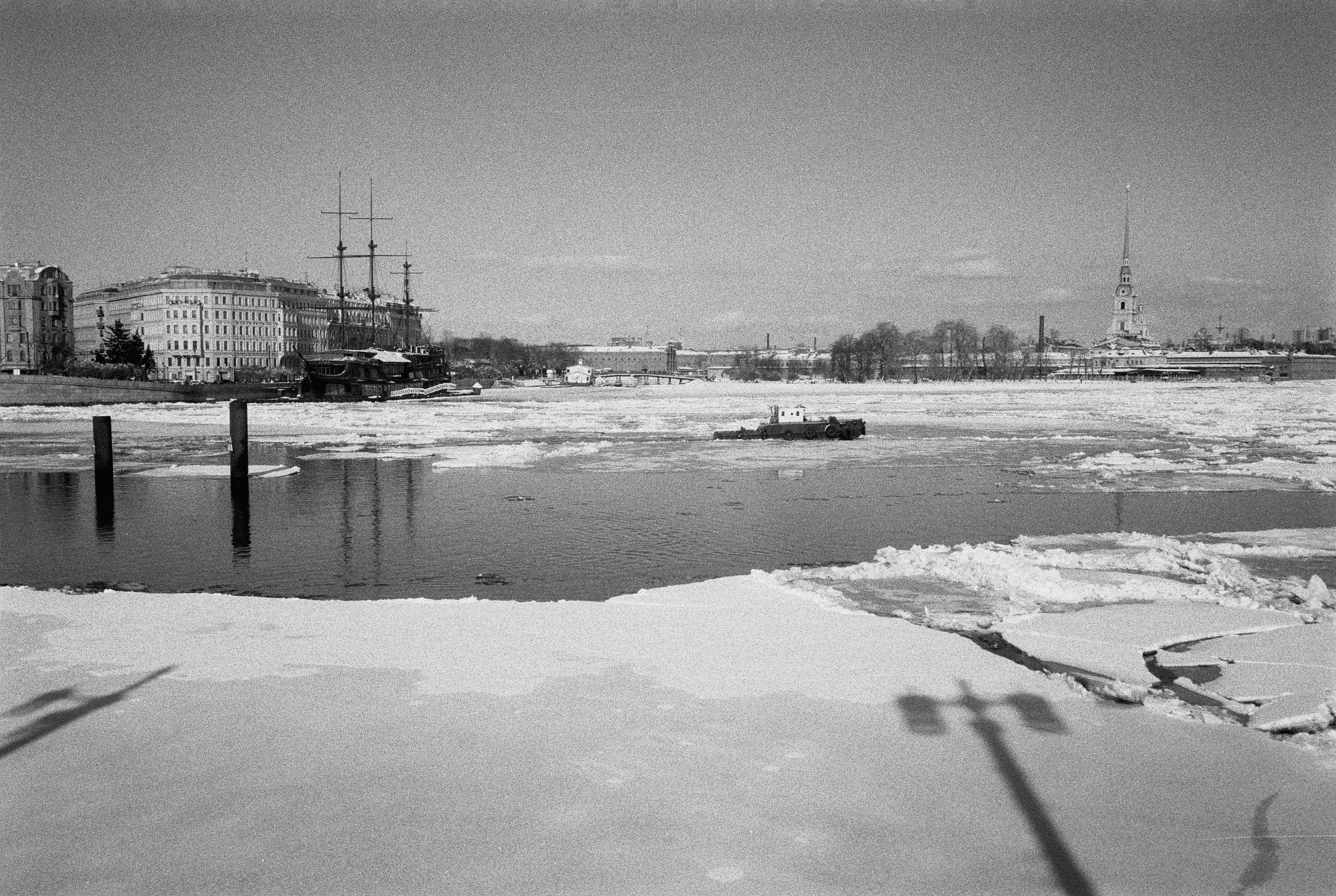 Фотографии черно-белые. Свадебный и семейный пленочный фотограф в Петербурге Истомина Ирина