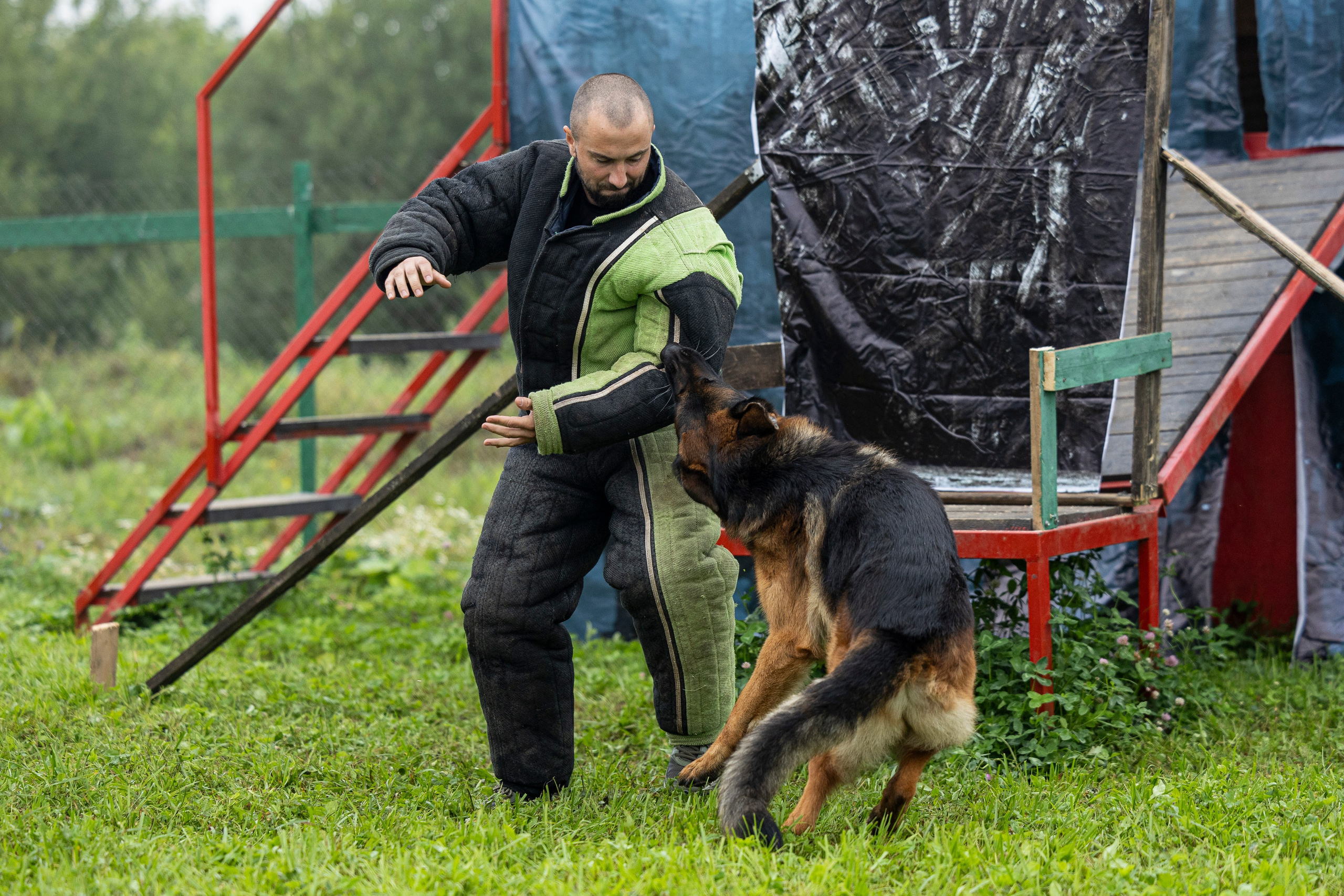 Соревнования по Мондьорингу г. Вологда 10-11.08.2024. Фотограф-анималист Анна Маринич