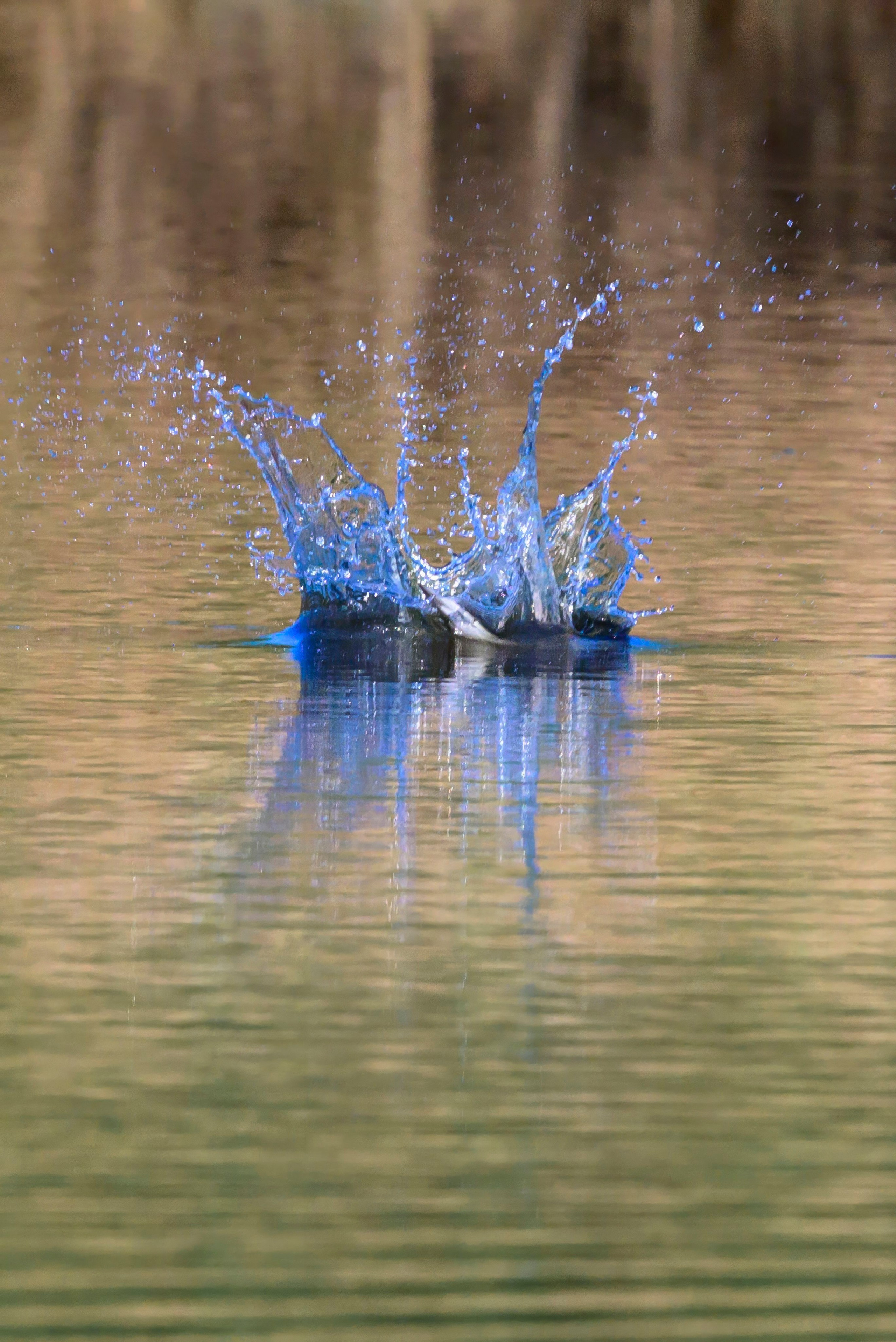 Дмитров. Фотограф Сергей Пупонин