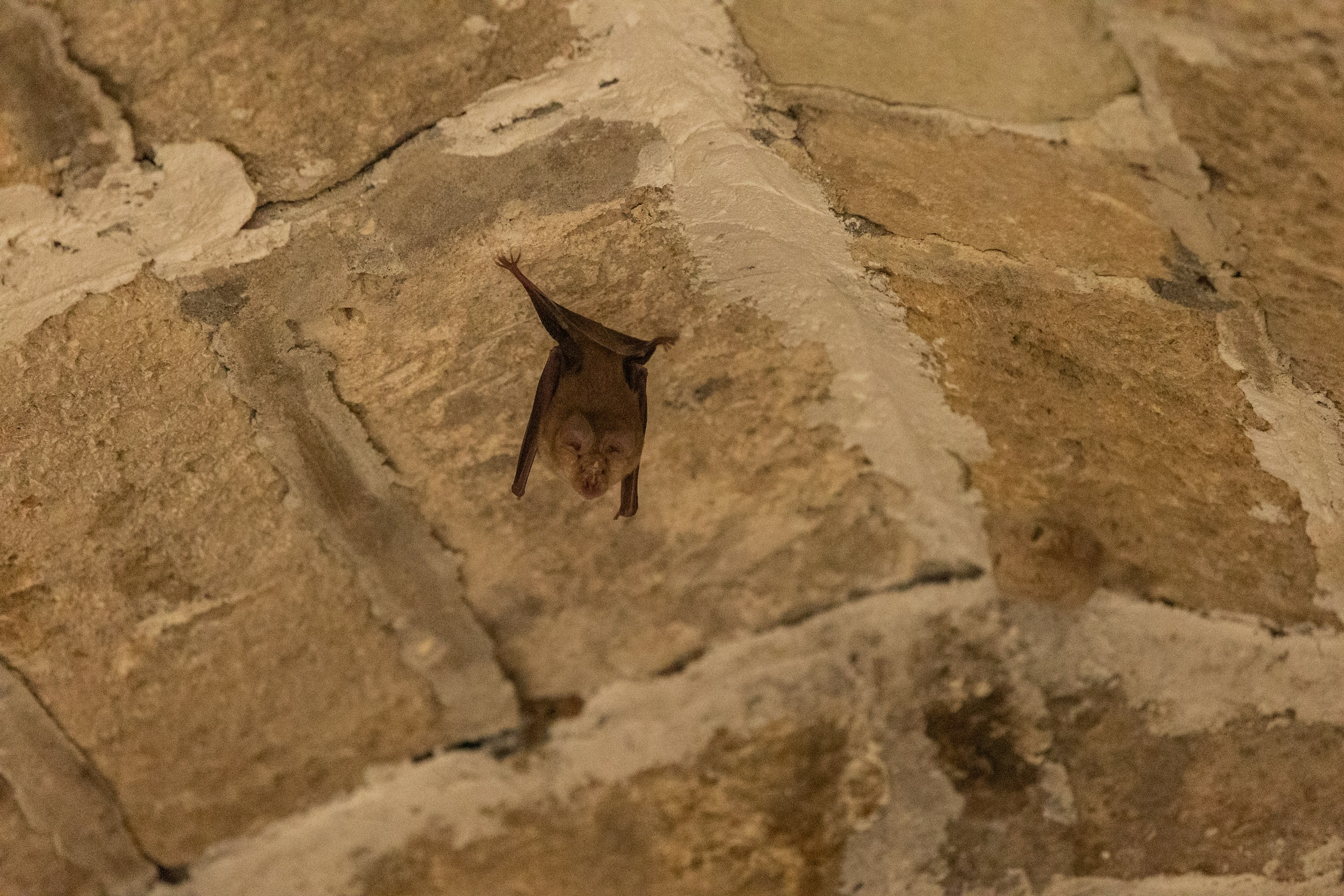 Дербент. Фотограф Владимир Охрименко