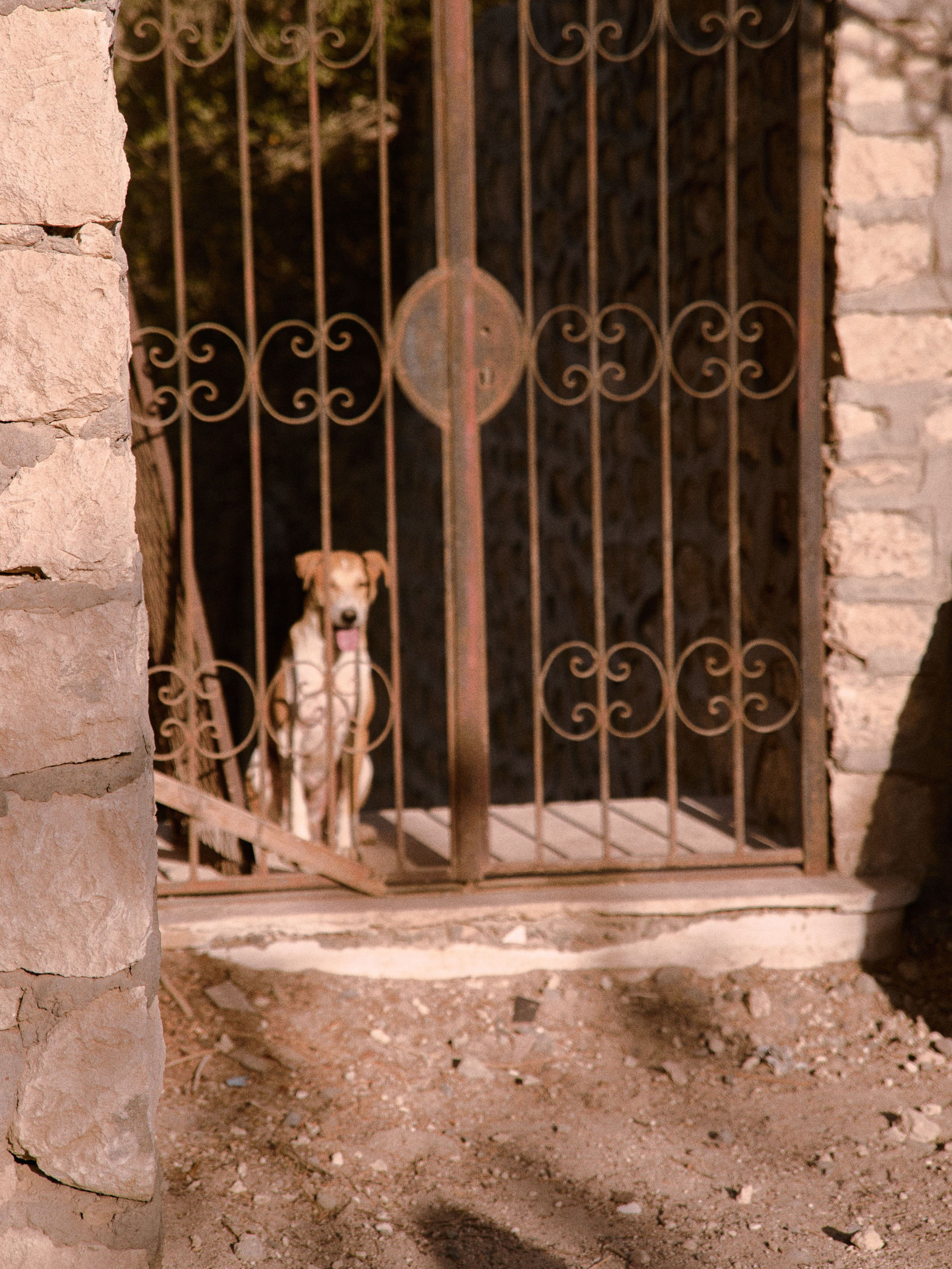 Природа сквозь. Jorgis Talè — photographer, kind person, teacher of arts and other mag