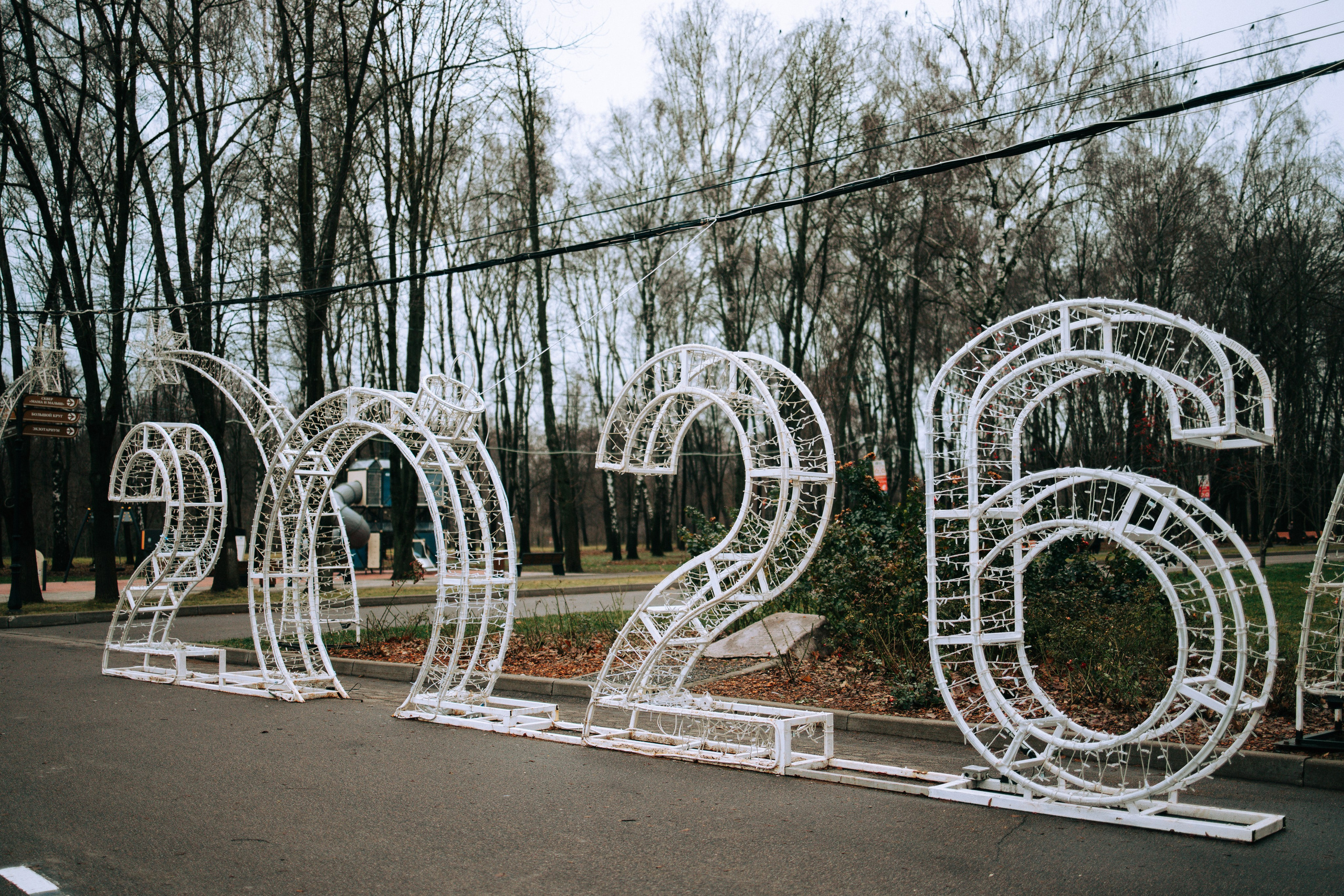 Осень, парк, экзотариум. Свадебный и семейный фотограф в Туле и области Маша Костина