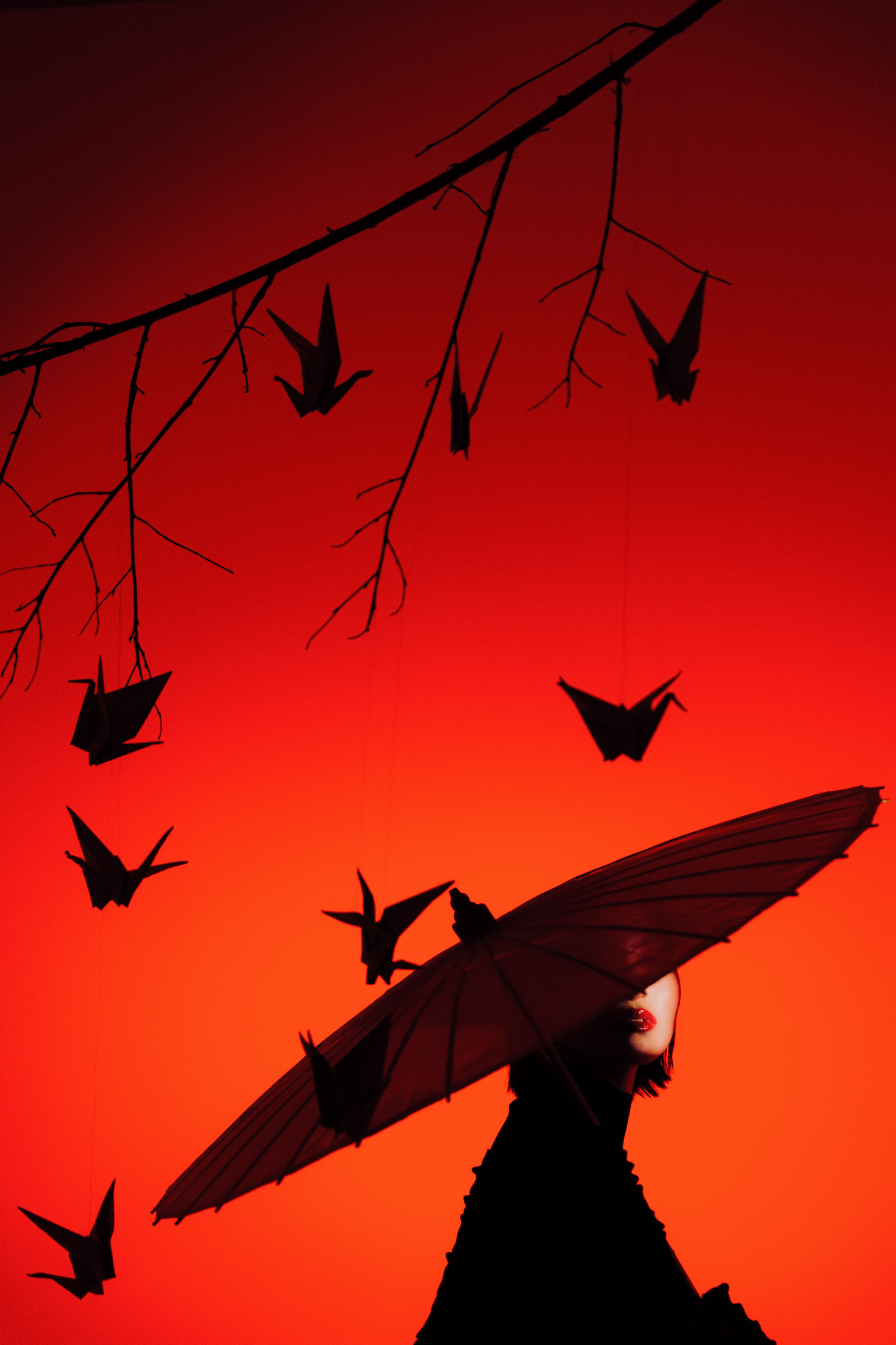 Фотография сделана в рамках воркшопа Asian New Year/ inst команды Art-direction + photo/video: @Xenia.VisionsModel: @arinaa___sMUAH: @katya_leerClothes: @jnby_stpetersburgStudio: @bridgestudio.spbVideo backstage: @pashecosanAssistants: @kornilova_ph@masha.blago