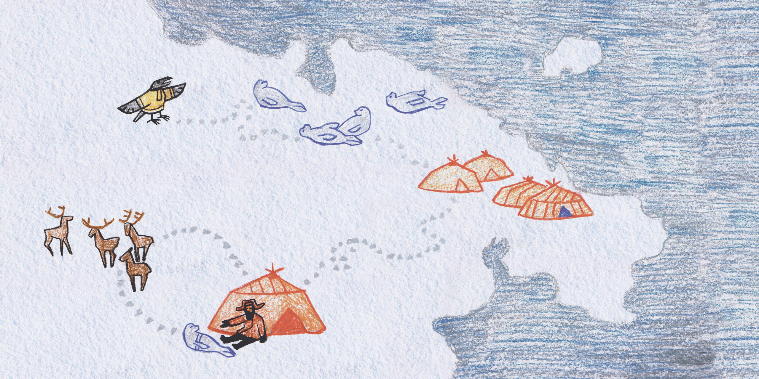 Ворон и нерпа. Динара Байгельдина — Графический дизайнер и художник-иллюстратор