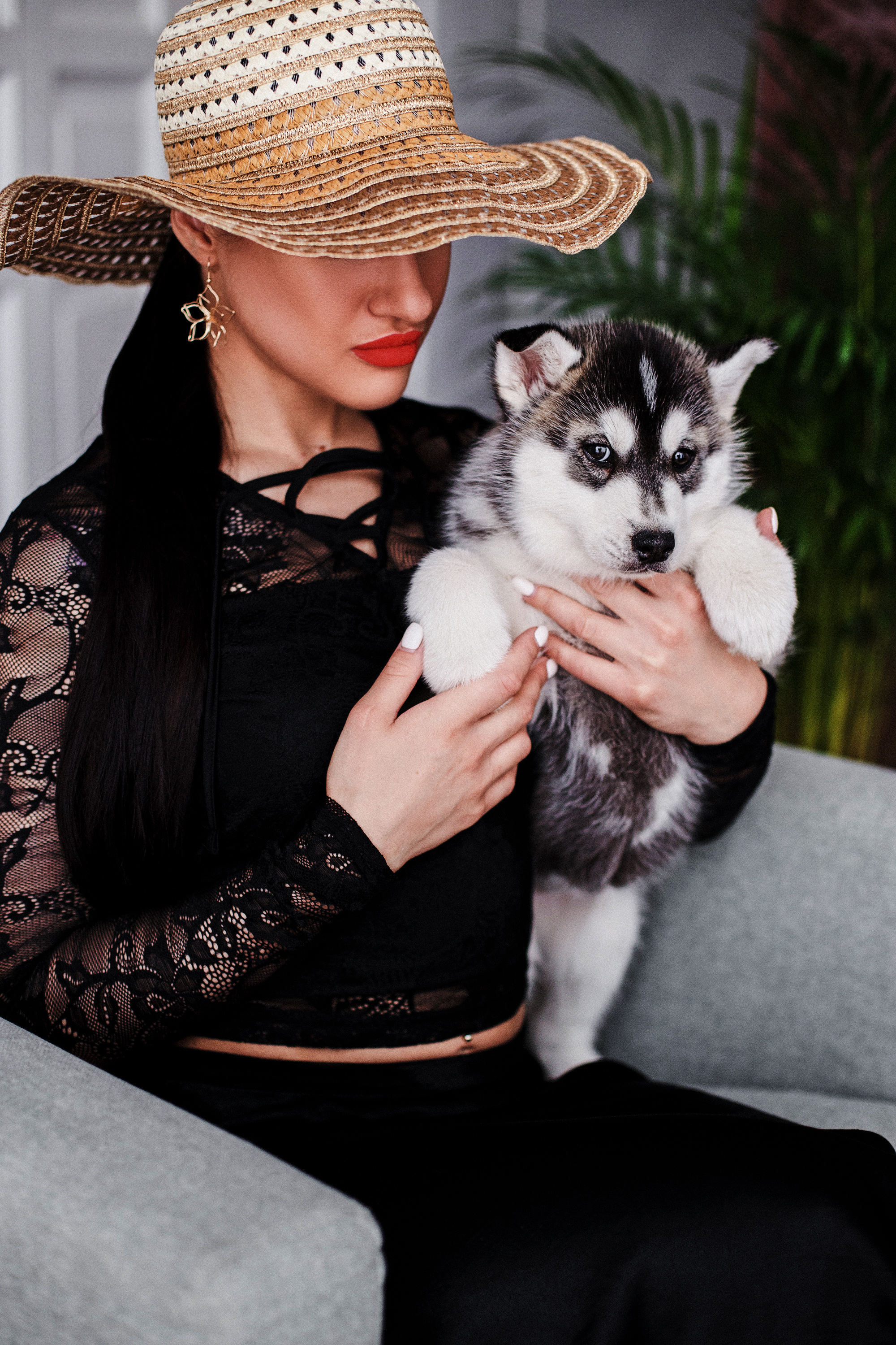 Аренда хаски 1500₽