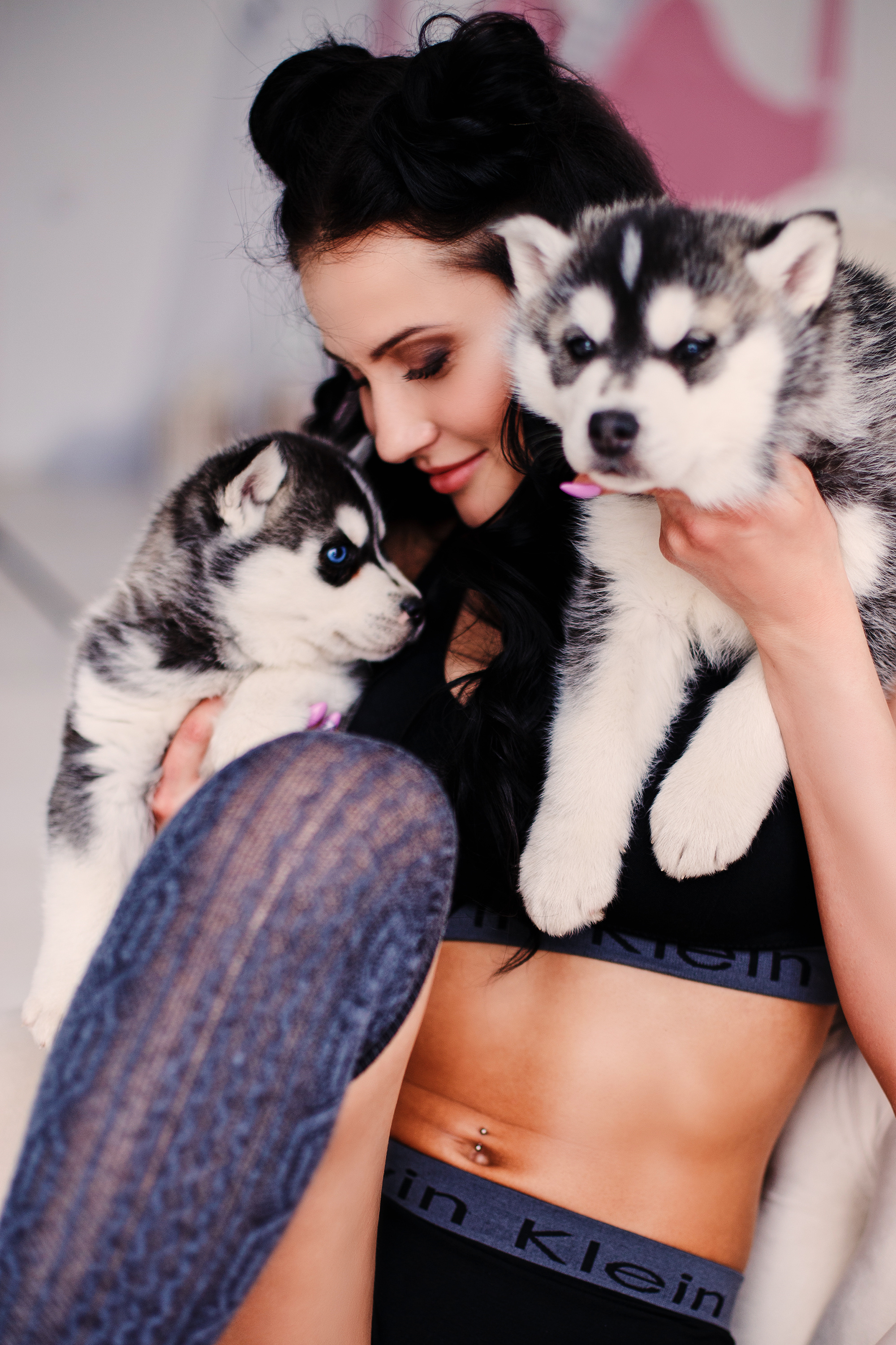 Аренда хаски 1500₽