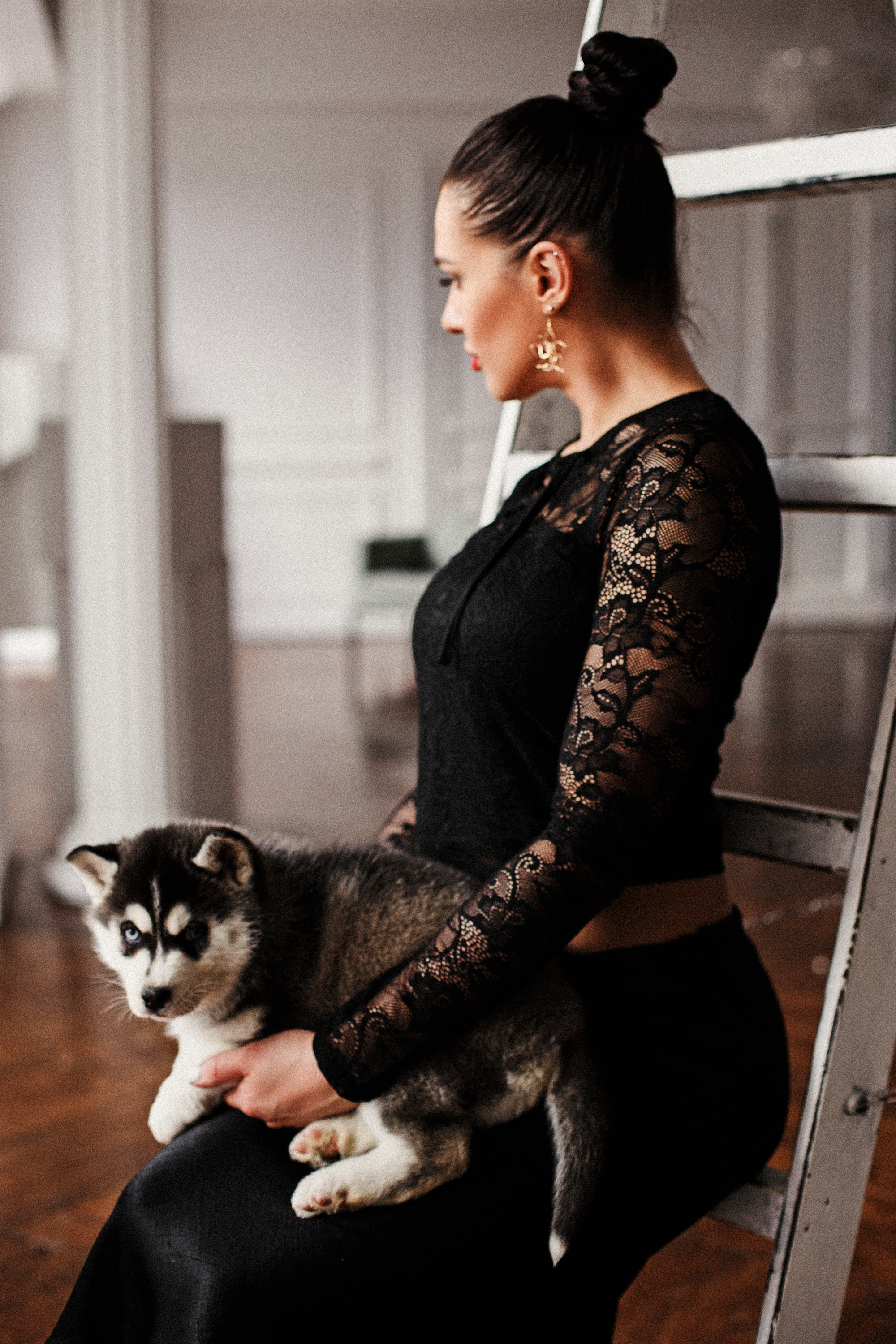 Аренда хаски 1500₽