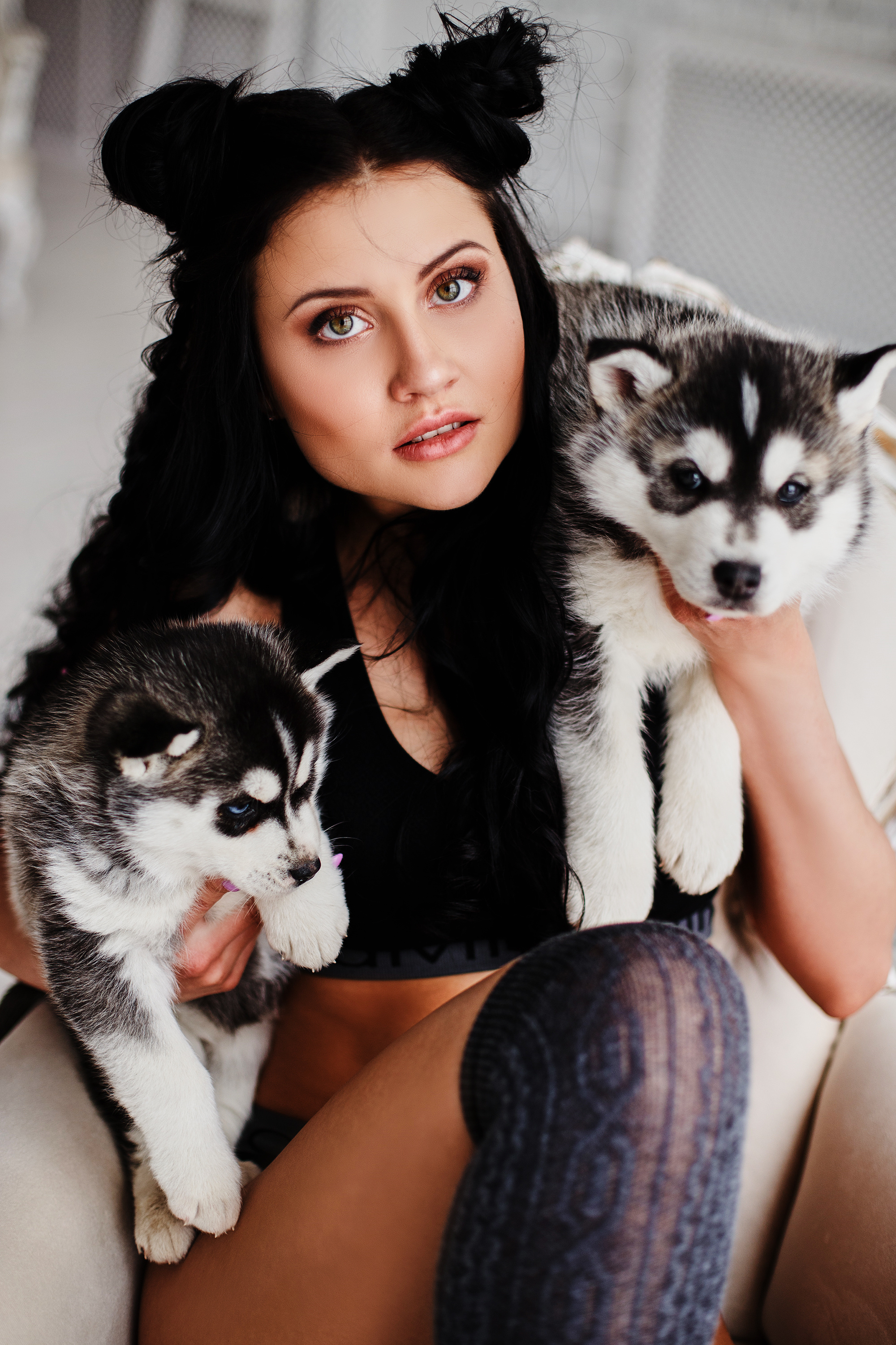 Аренда хаски 1500₽