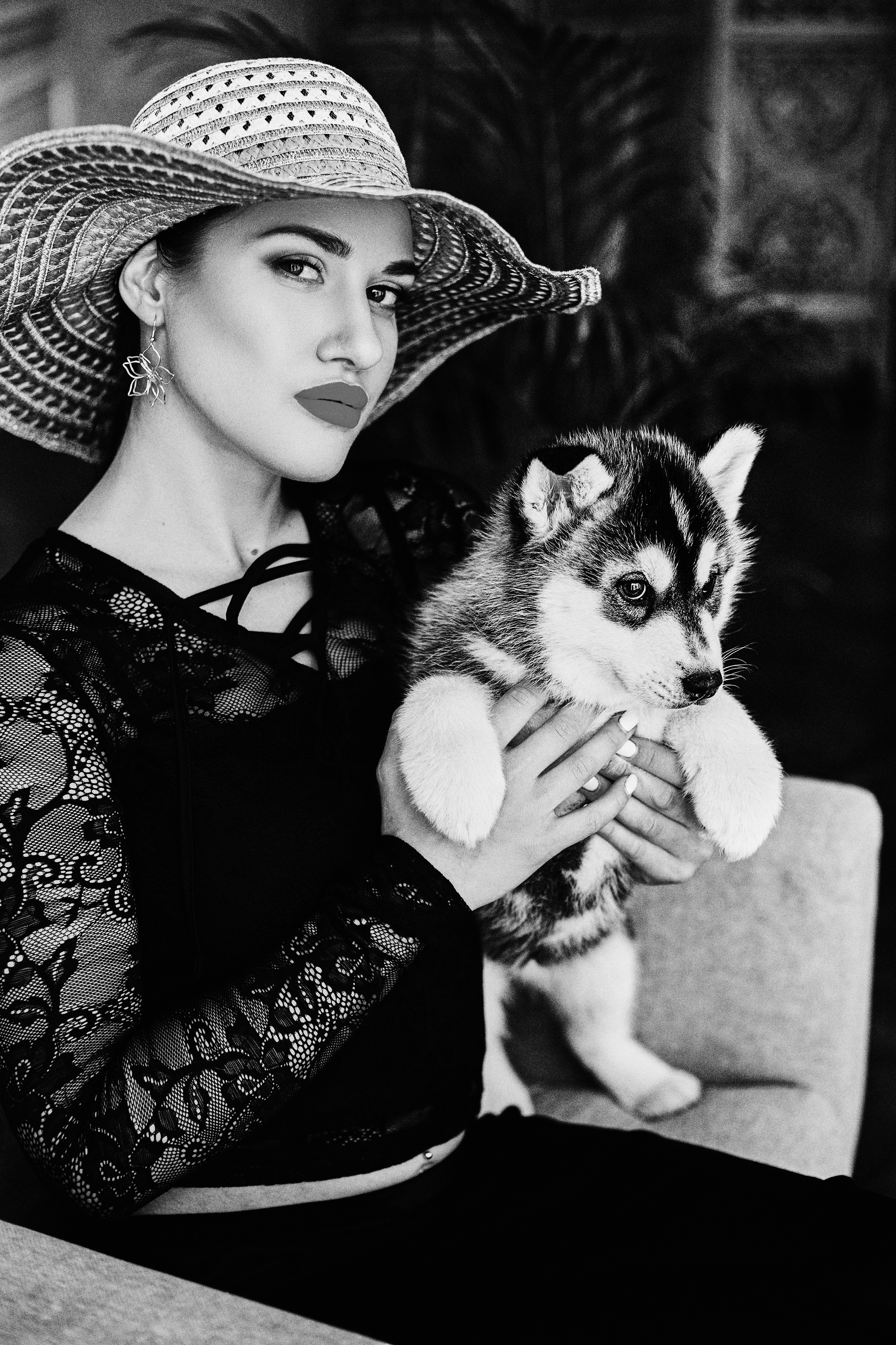 Аренда хаски 1500₽