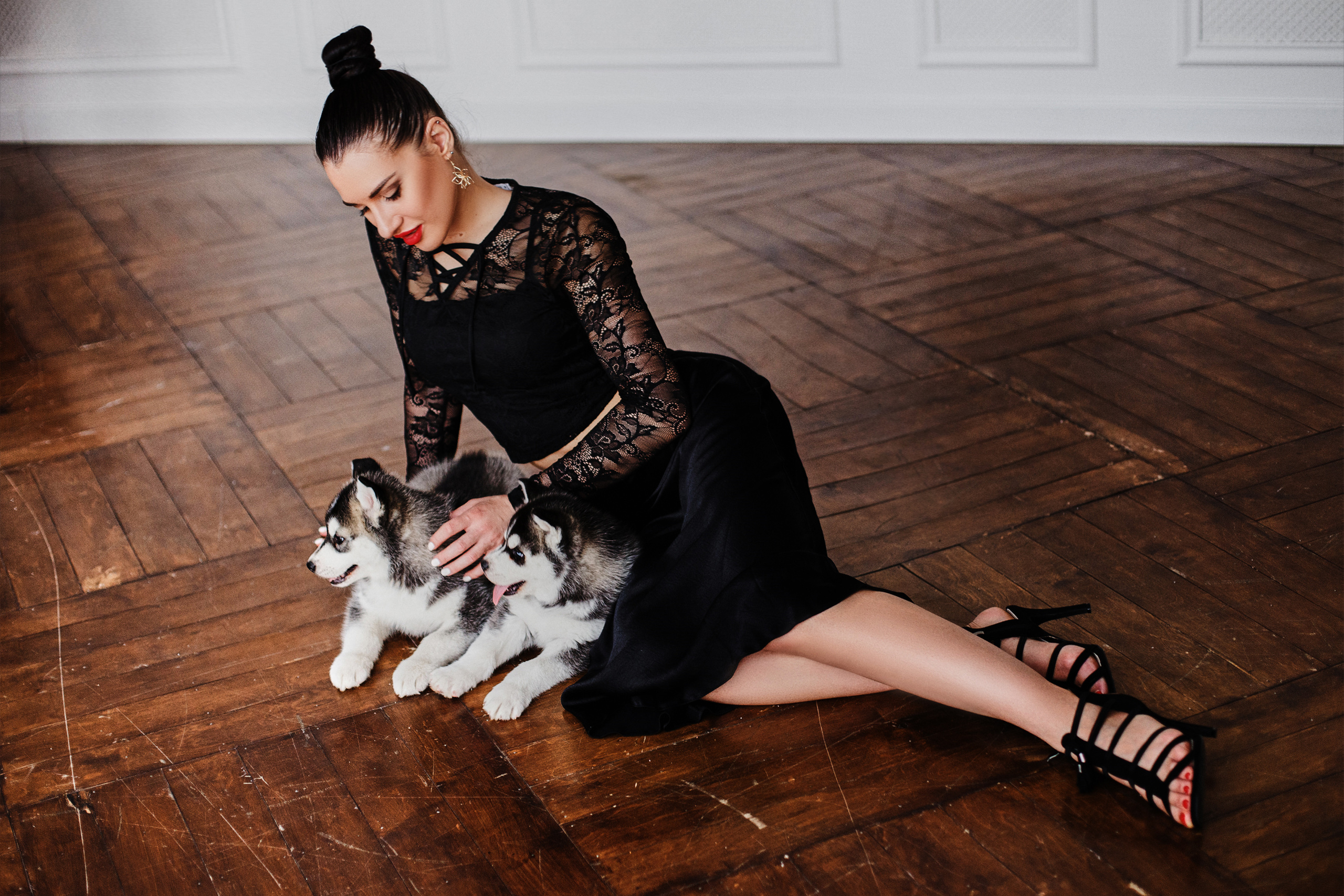 Аренда хаски 1500₽