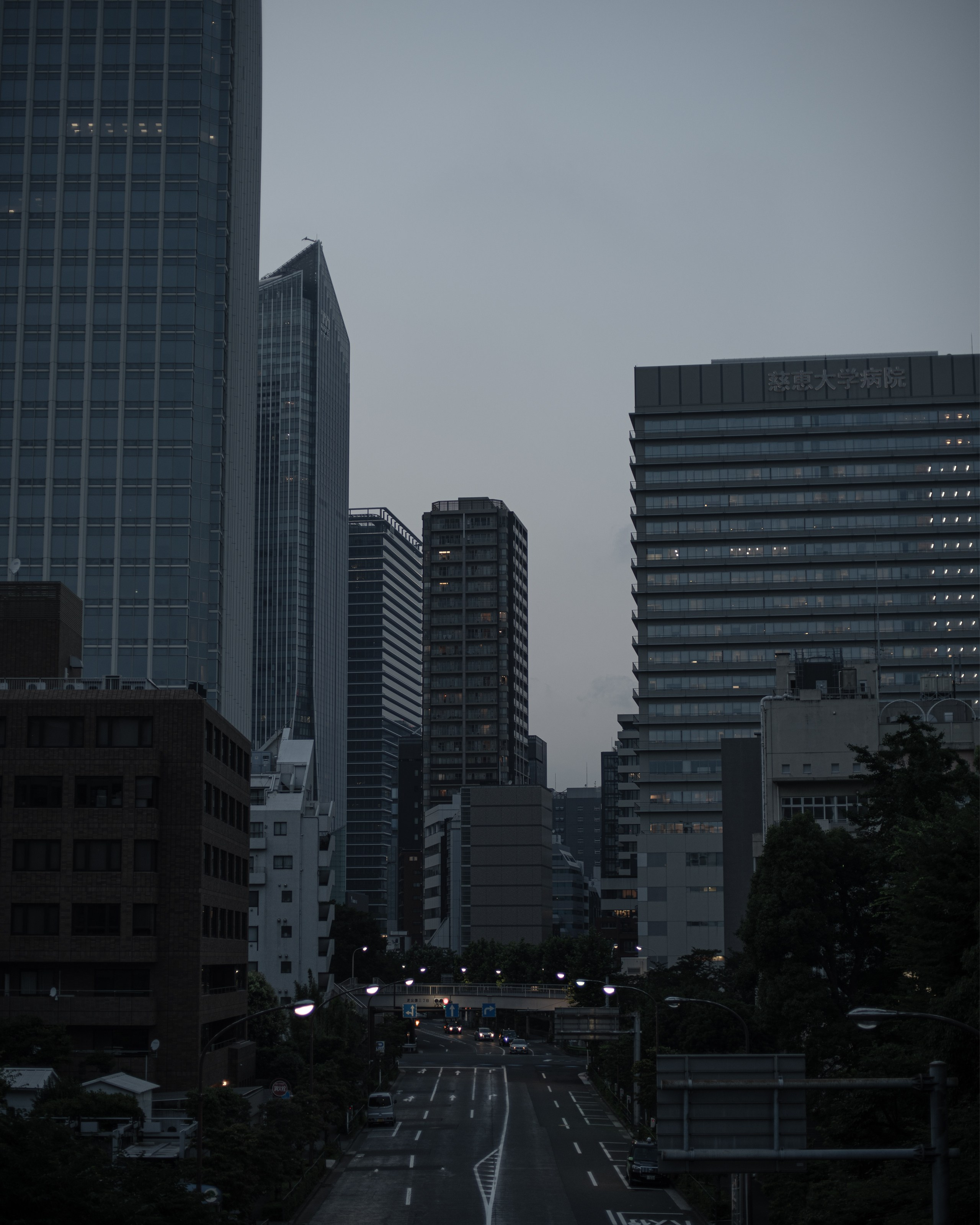 Japan. Photographer in Tokyo Anatolii Ozarto