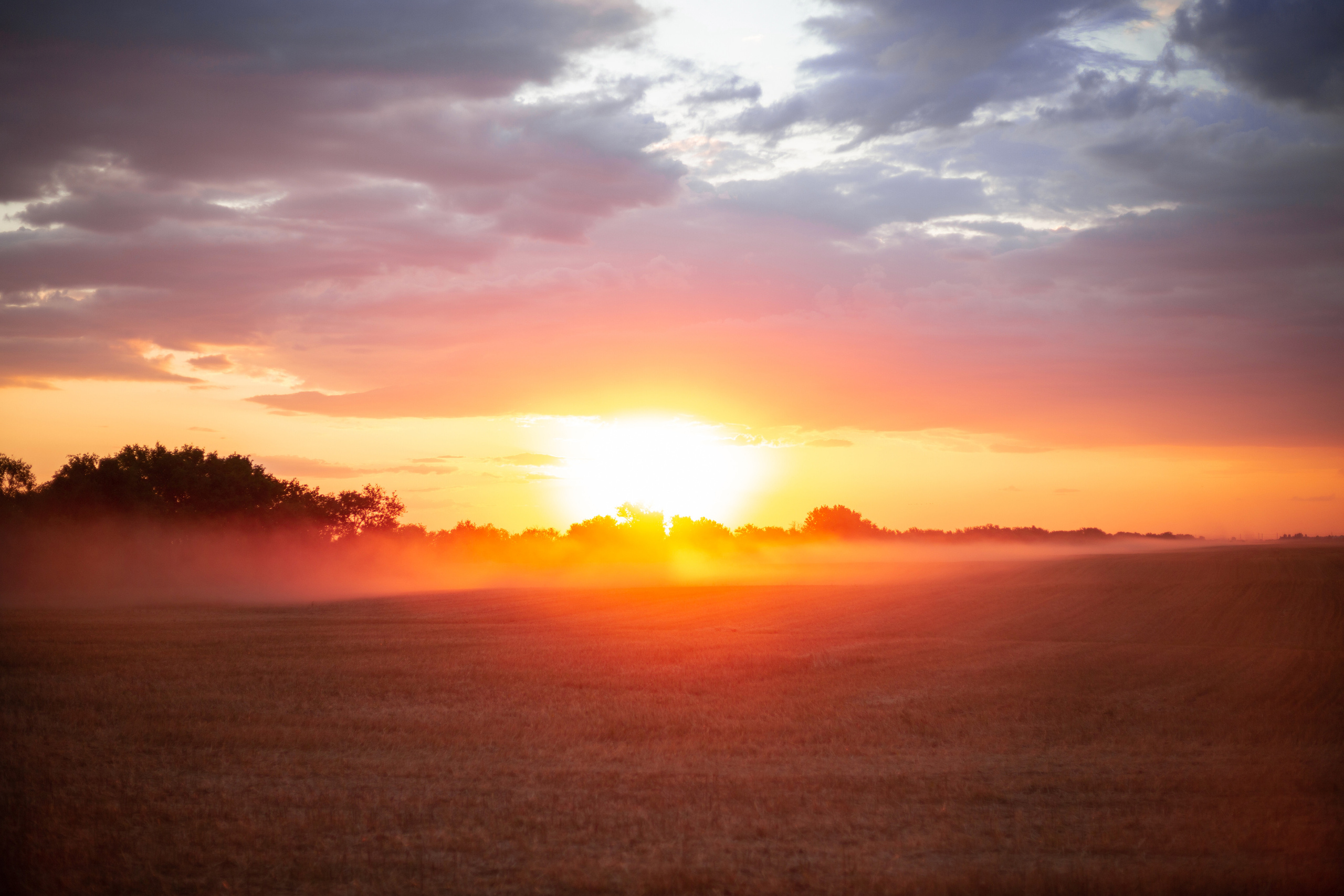 Хиппи. Семейный и женский фотограф в Волгограде Екатерина Гулей