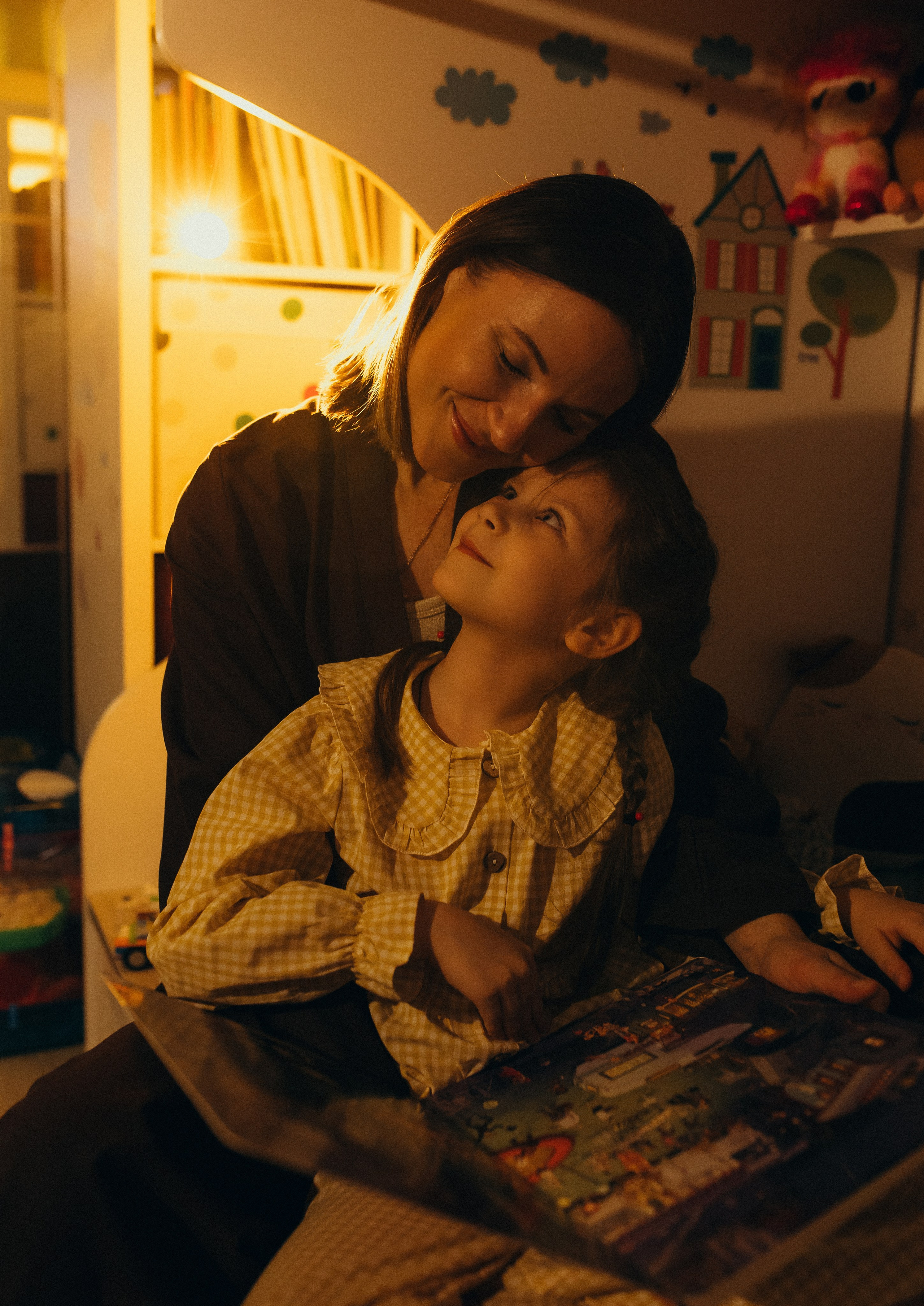 Домашняя история. Meryfotoidea