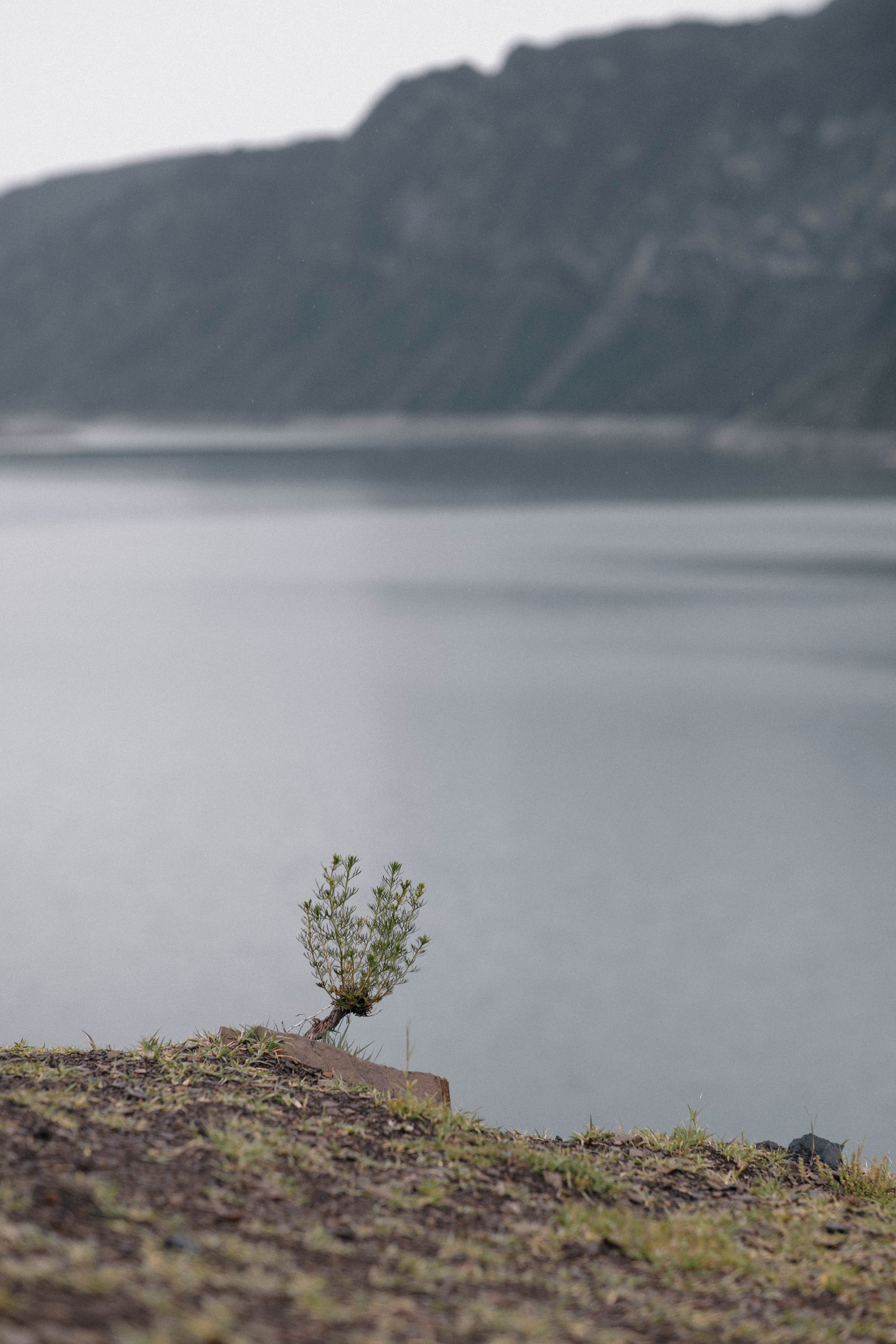 Daria & Sten | Russia, Dagestan. Свадебный фотограф