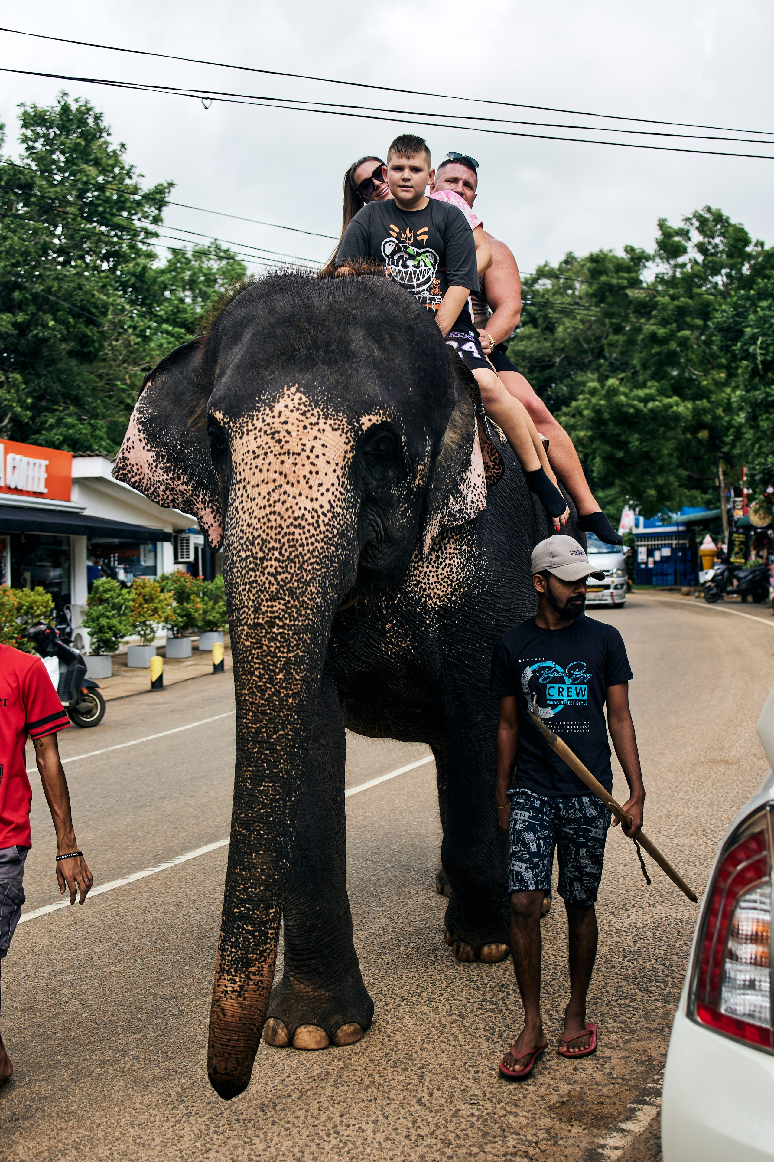 Шри-Ланка. Хороший репортажный и промышленный фотограф в Казани Алексей Щелконогов
