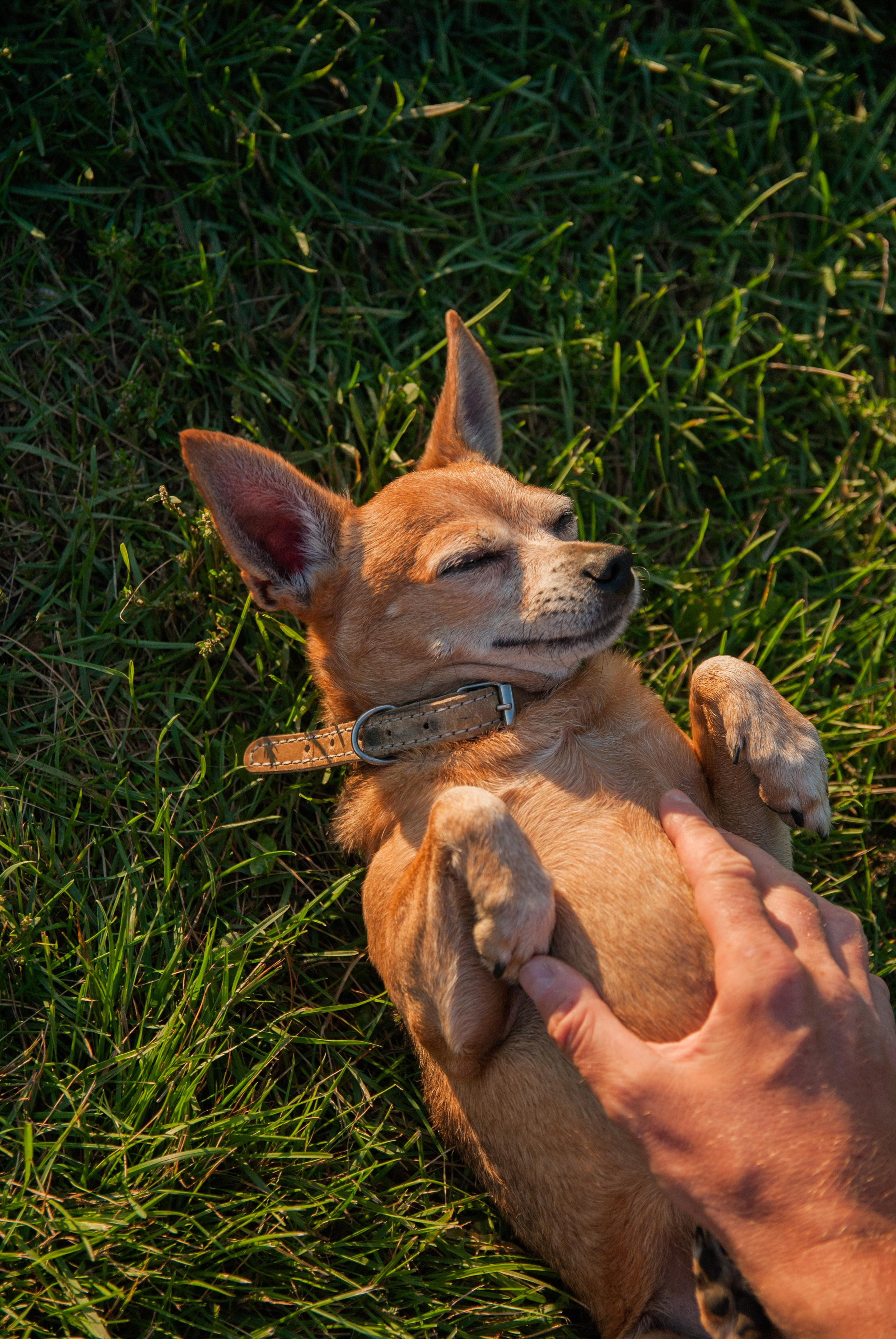 Зоопарк в моём багаже. Кошенкова Мария: портретный и репортажный фотограф. Санкт-Петербург