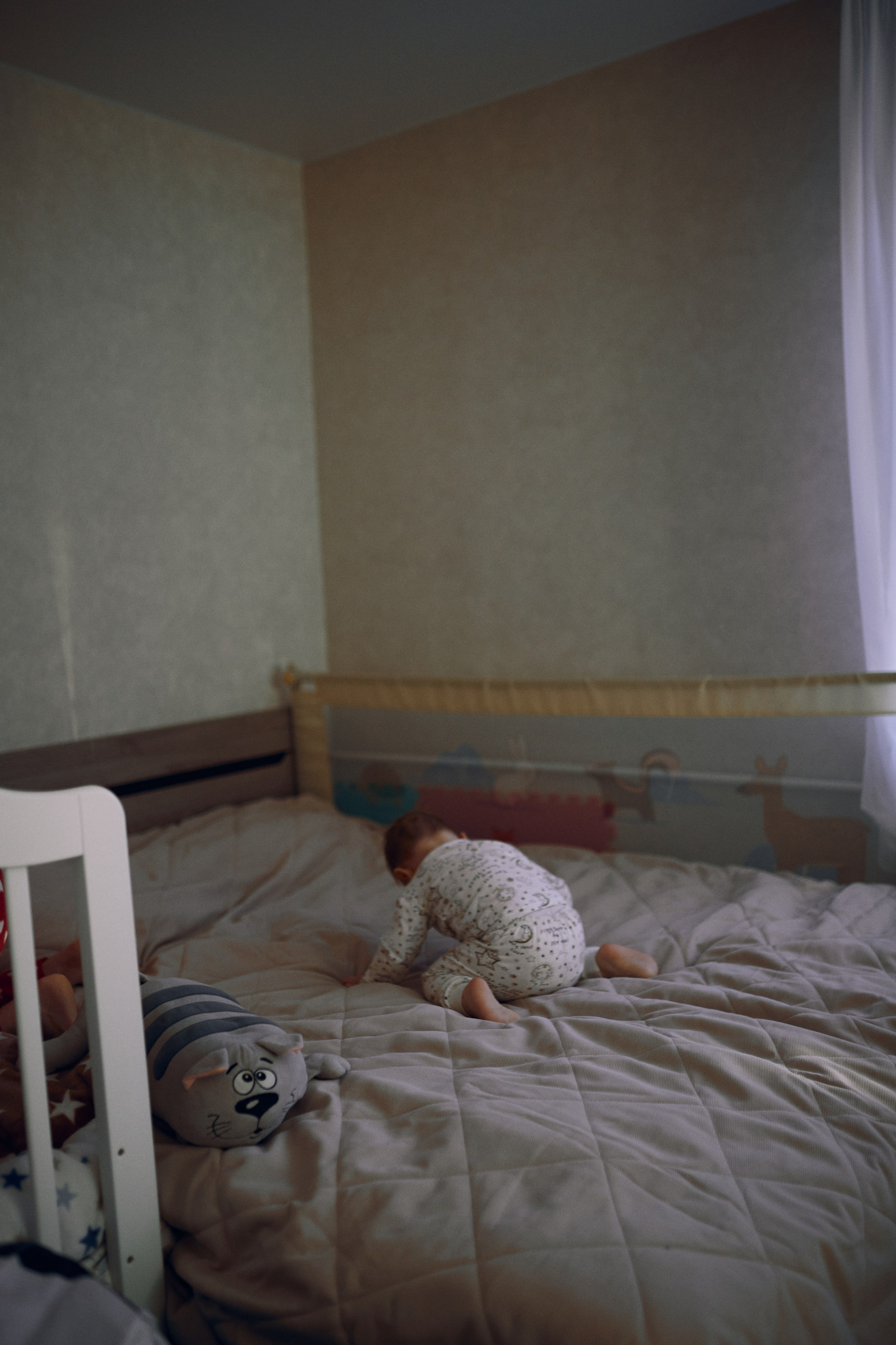 Дед Мороз, ВЫХОДИ!. Фотограф Ионова Анастасия, г Владивосток