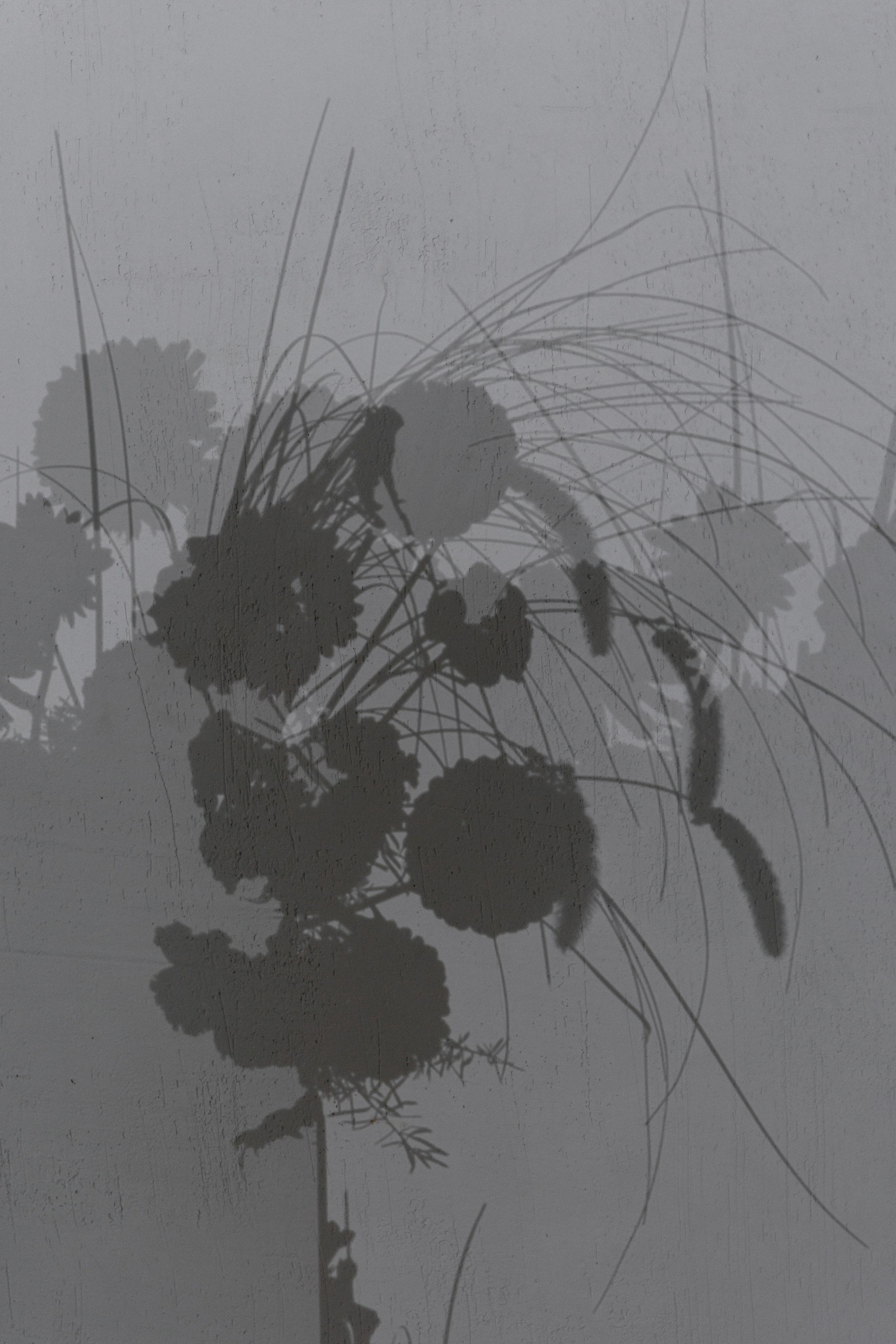 Словно в тебе мое сердце. Михаил и Юлия Лыженко — свадебный фотограф Волгоград