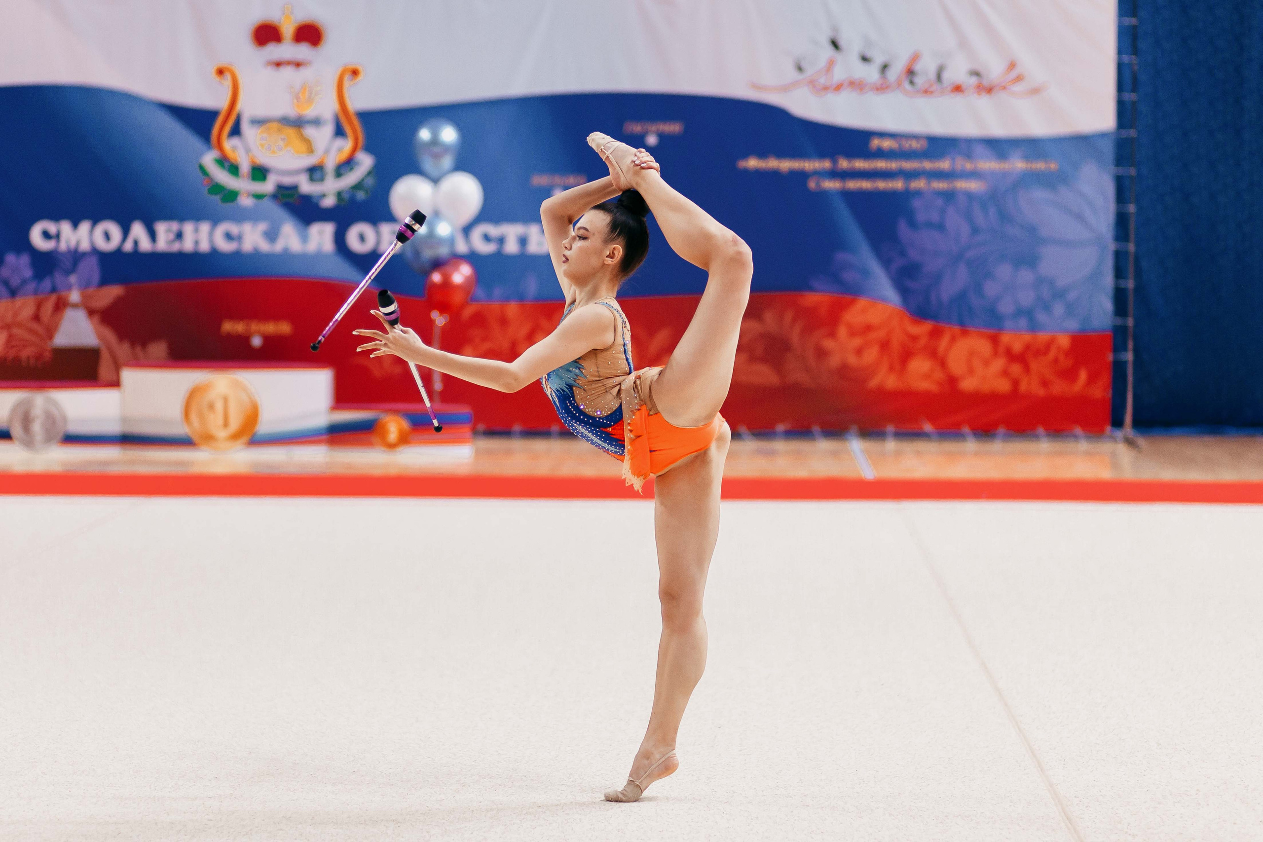 Чемпионат по художественной гимнастике. Смоленск. Ноябрь 2022. Спортивный фотограф Александр Васильев. RG и AGG