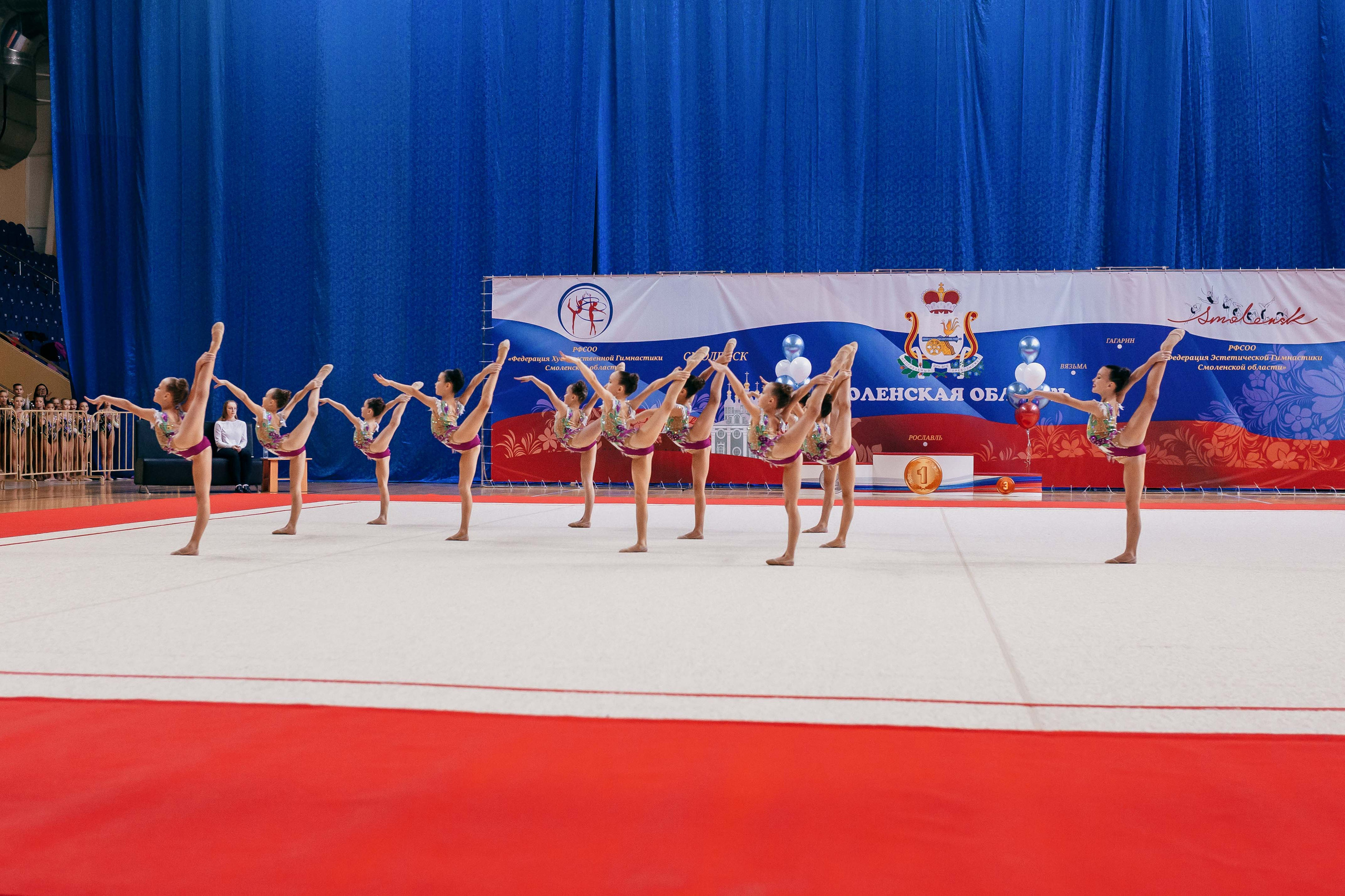 Турнир по эстетической гимнастике «Осенняя мелодия». Ноябрь 2022. Спортивный фотограф Александр Васильев. RG и AGG