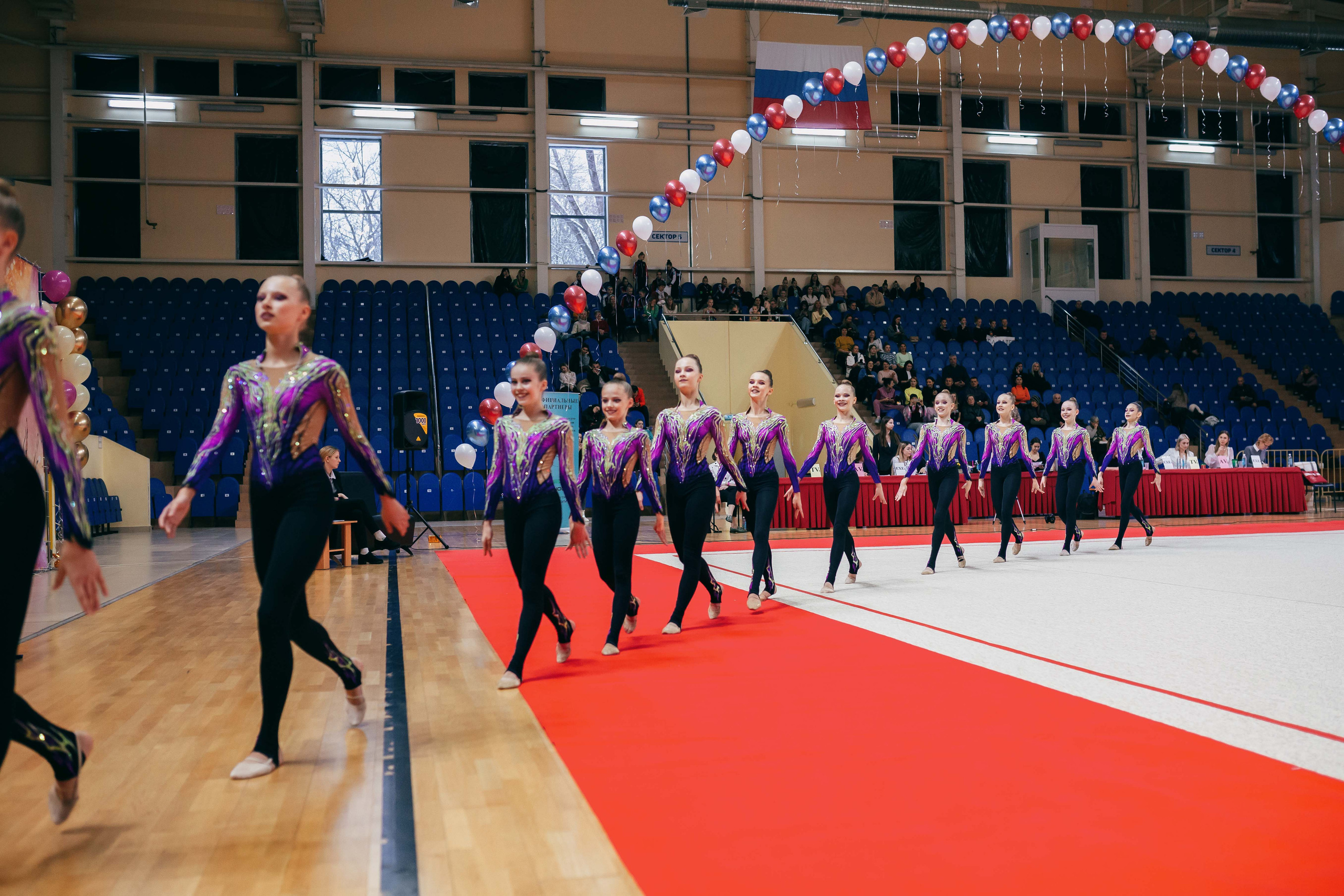 Турнир по эстетической гимнастике «Осенняя мелодия». Ноябрь 2022. Спортивный фотограф Александр Васильев. RG и AGG