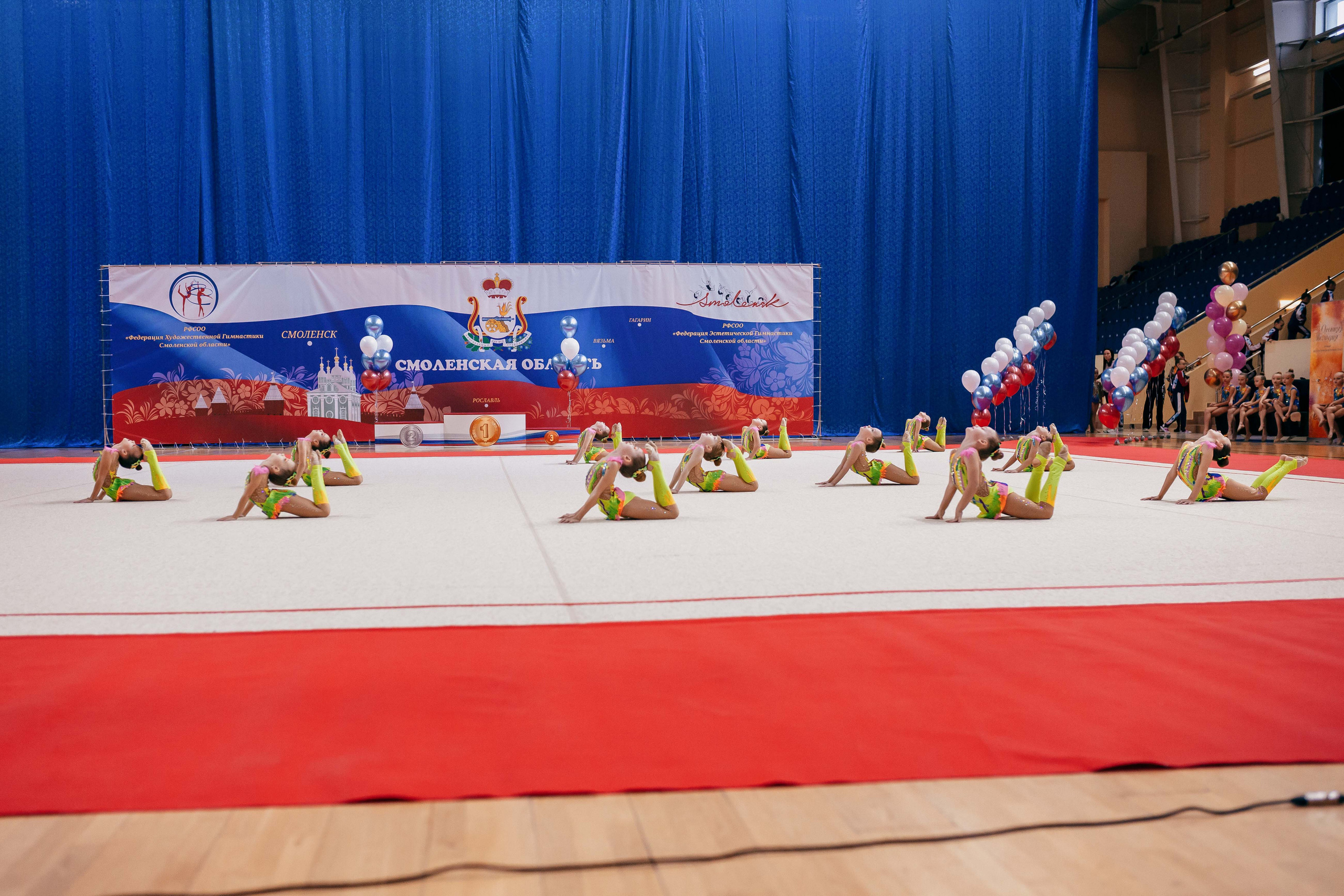 Турнир по эстетической гимнастике «Осенняя мелодия». Ноябрь 2022. Спортивный фотограф Александр Васильев. RG и AGG