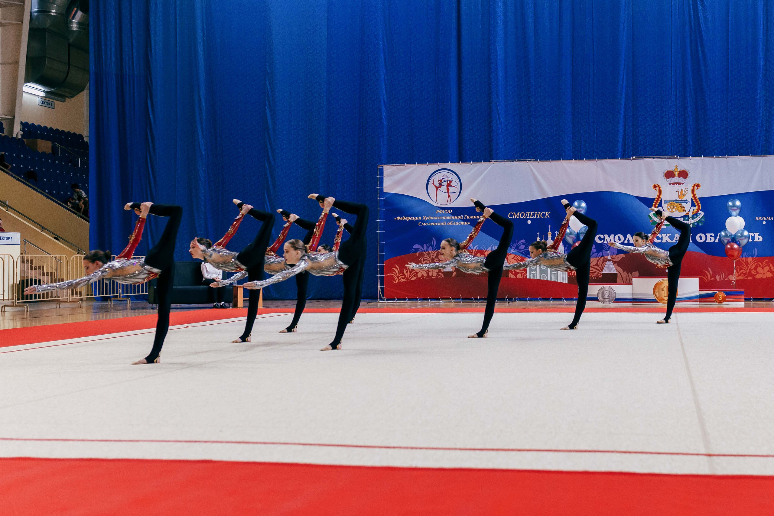 Турнир по эстетической гимнастике «Осенняя мелодия». Ноябрь 2022. Спортивный фотограф Александр Васильев. RG и AGG