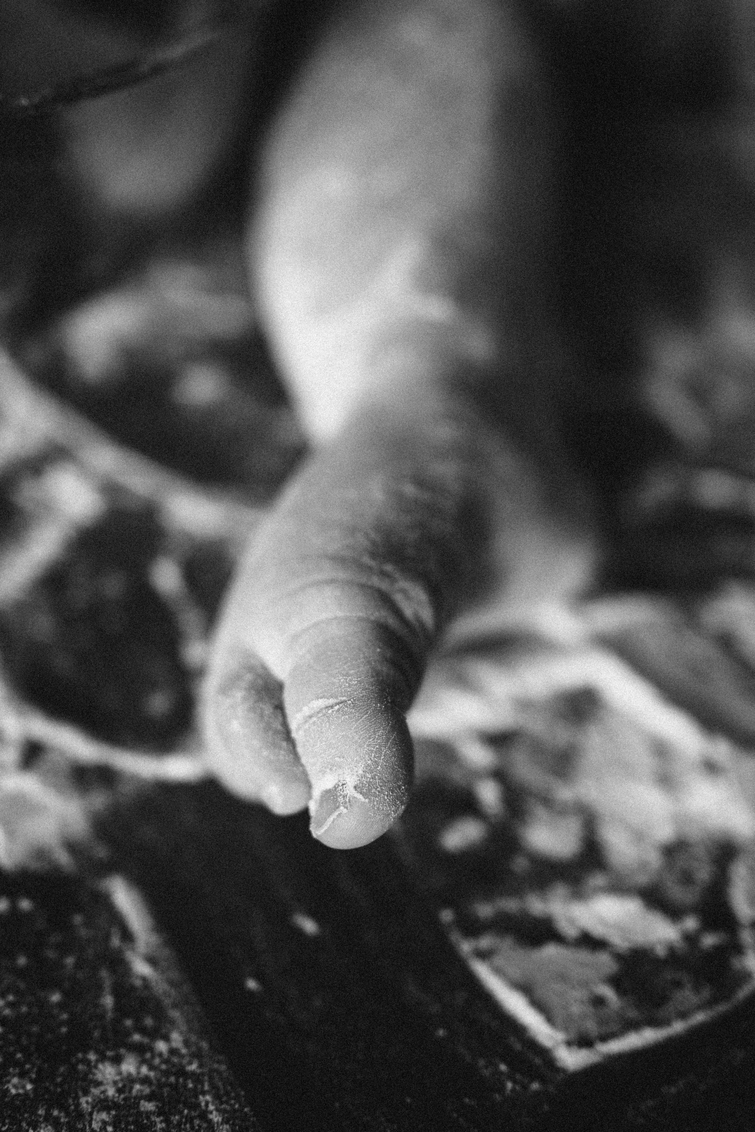 Домашняя фотосессия Новое Домодедово. Семейный фотограф в Москве и в Домодедово Екатерина Патракова