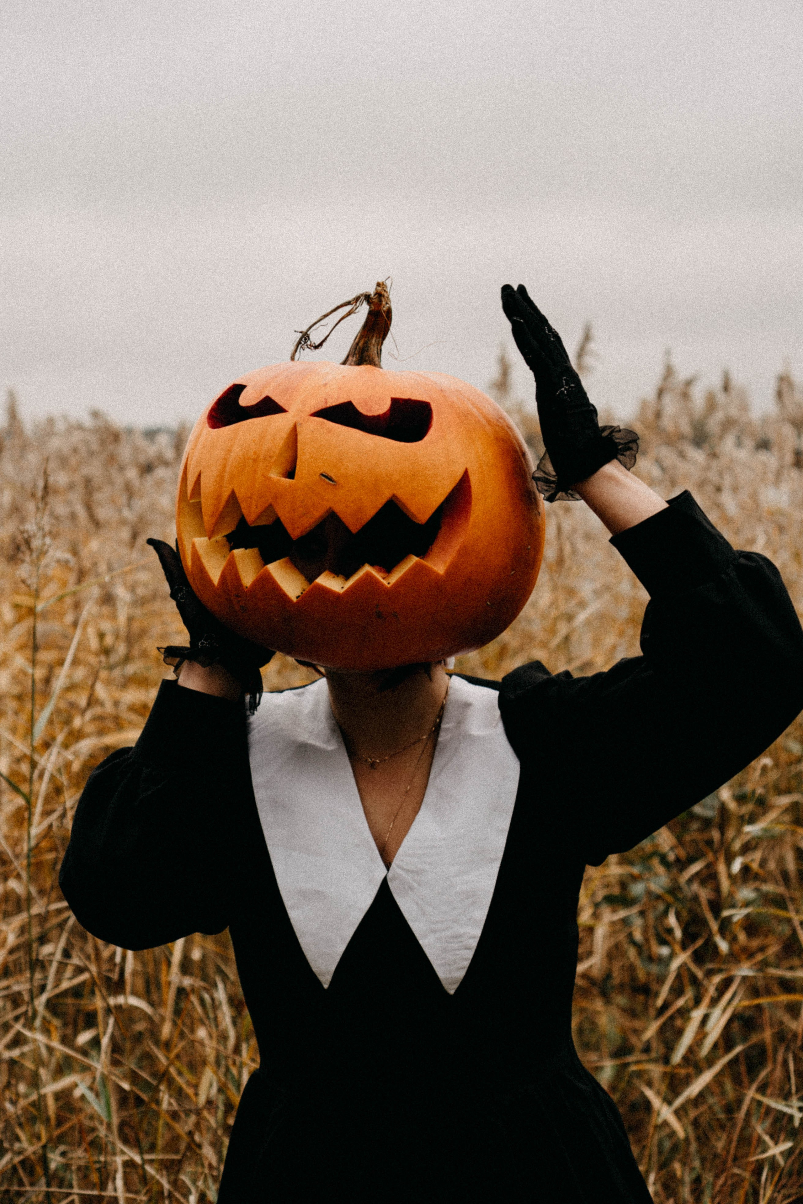Осеняя. Профессиональный фотограф, Санкт-Петербург — Виктория Богомолова