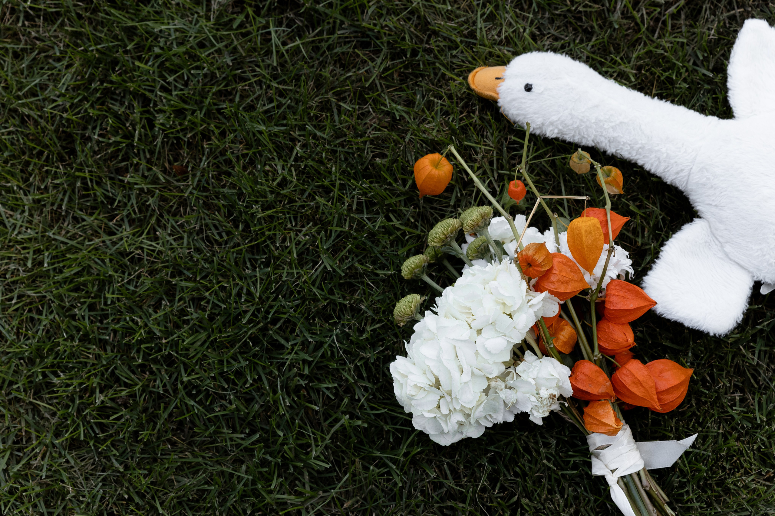 UTKI. Главная