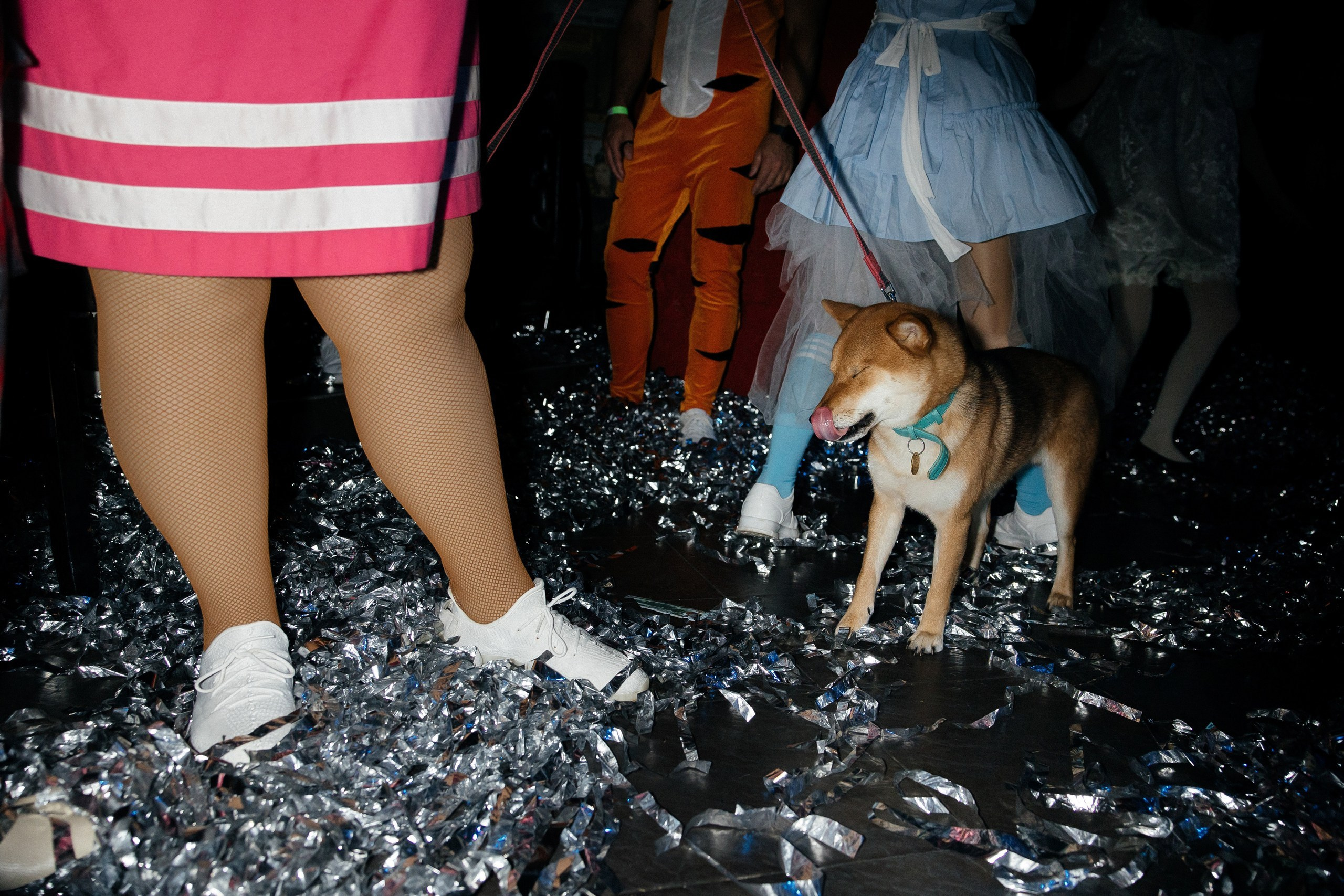 HARDWEDDING. Свадебный фотограф в Ростове-на-Дону