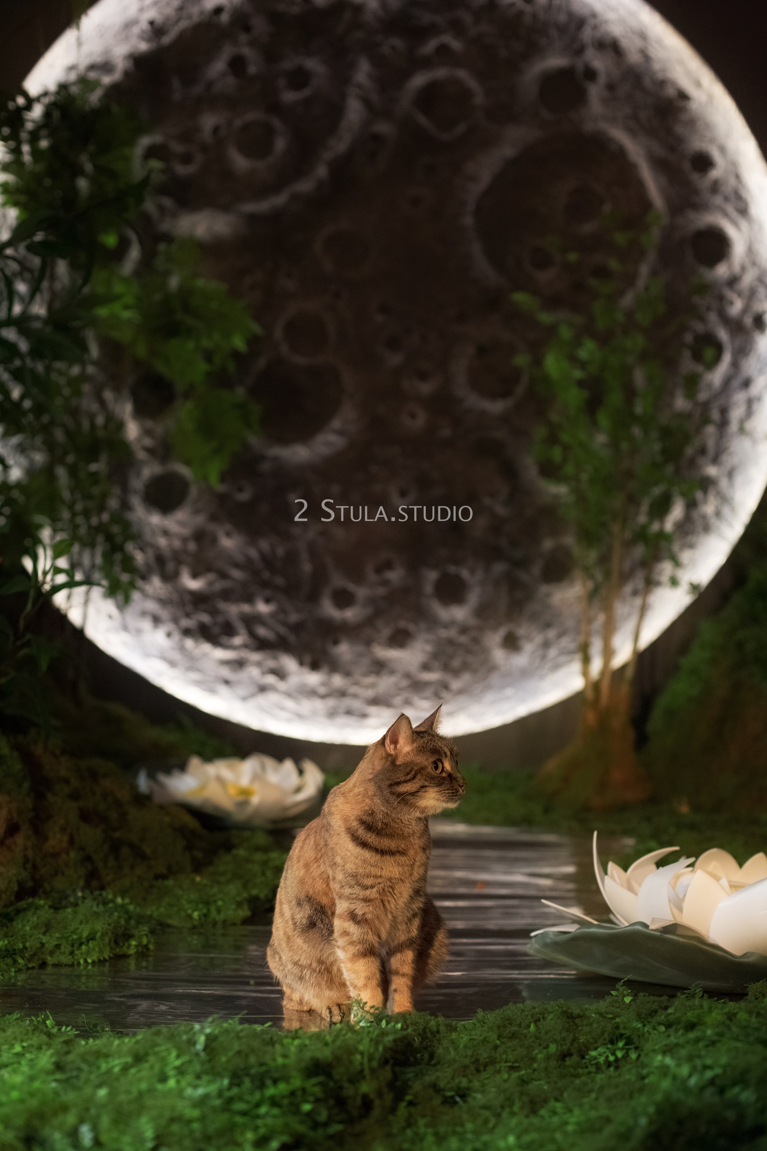 Фотостудия Алматы зал Moon. Фотостудия Алматы — 2 Stula.Studio | Аренда залов