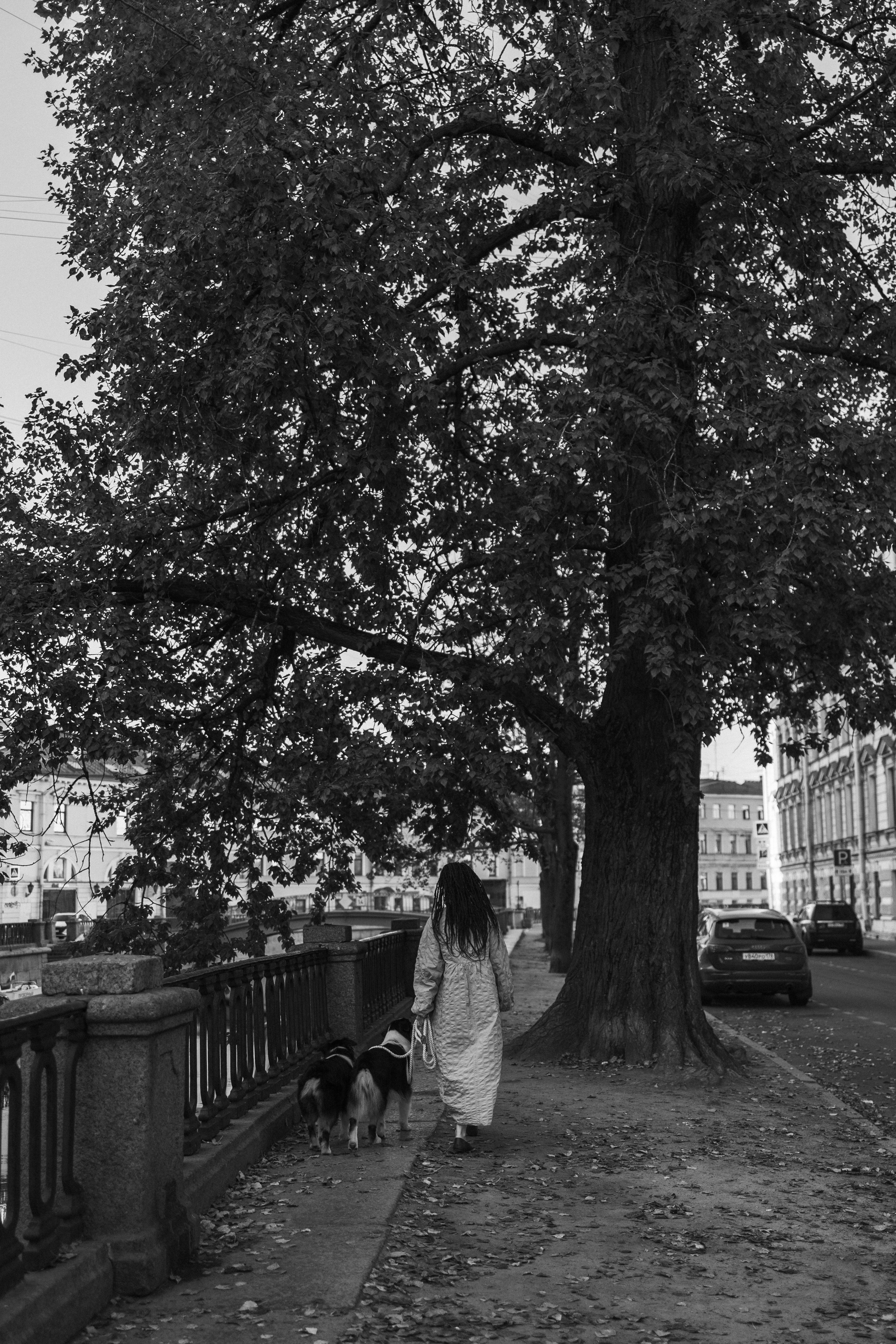 Катя и ее девочки. Фотограф — Анималист | Санкт-Петербург