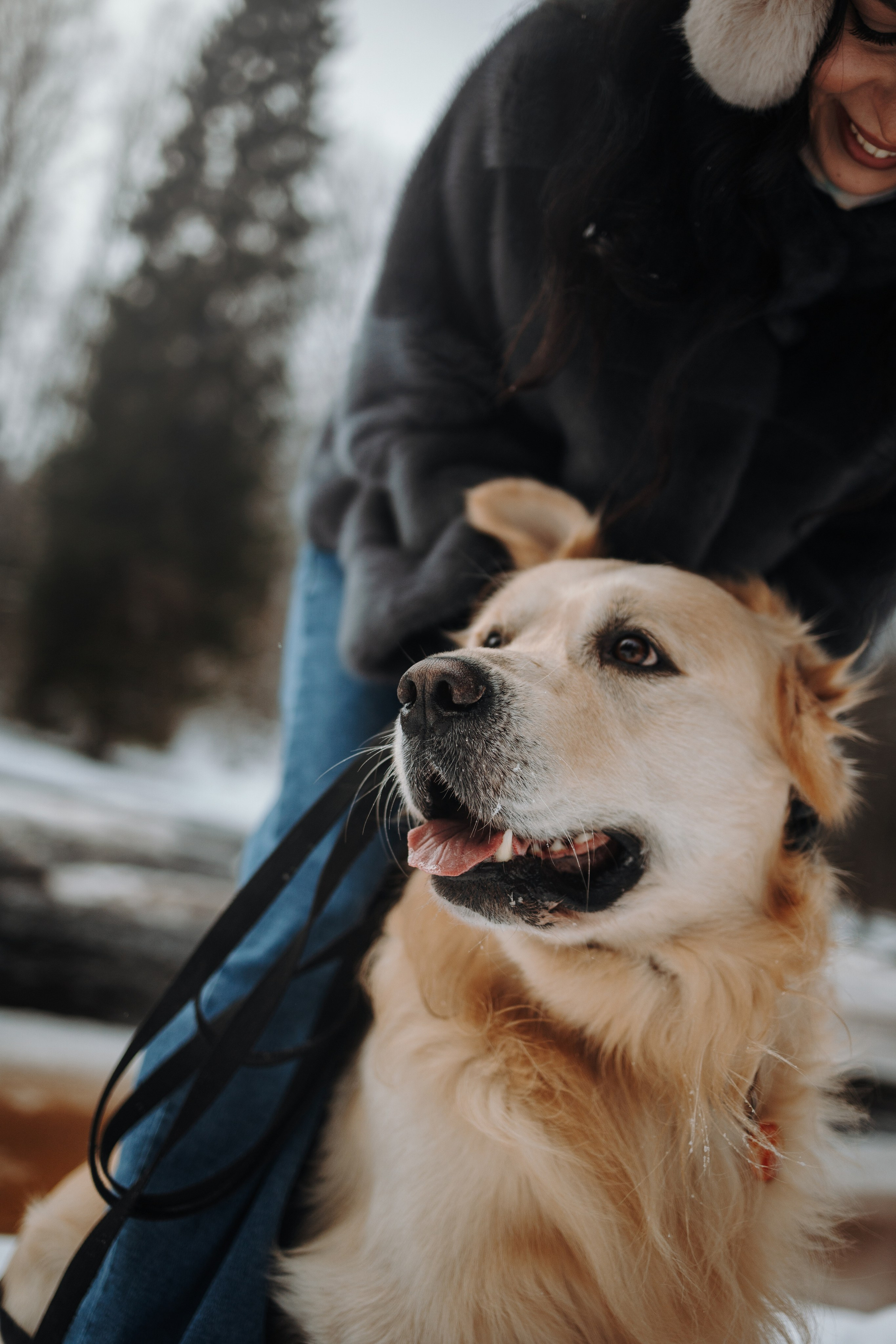 Вика и Лёва. Фотограф — Анималист | Санкт-Петербург