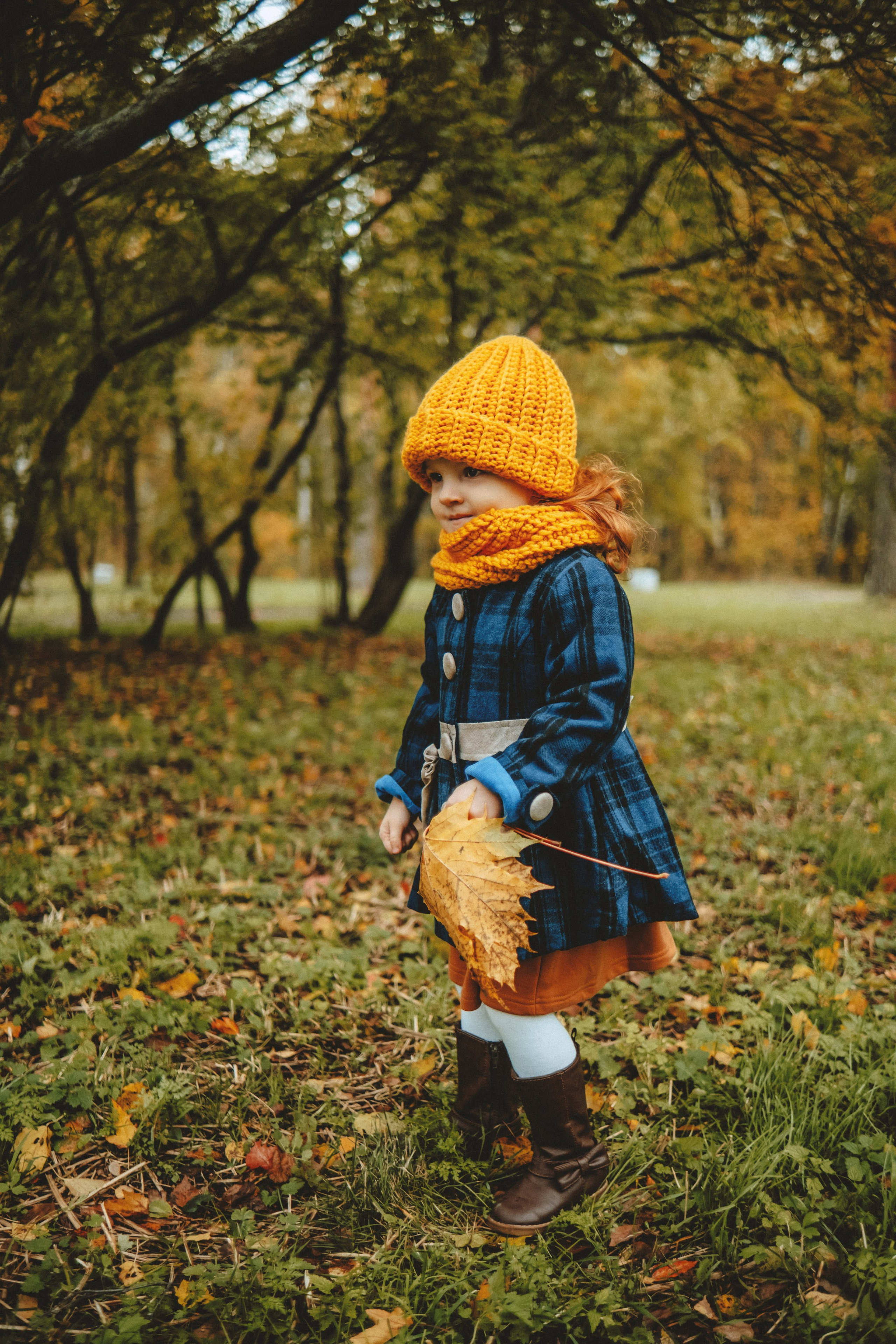 Краски осени. Nattie.ph