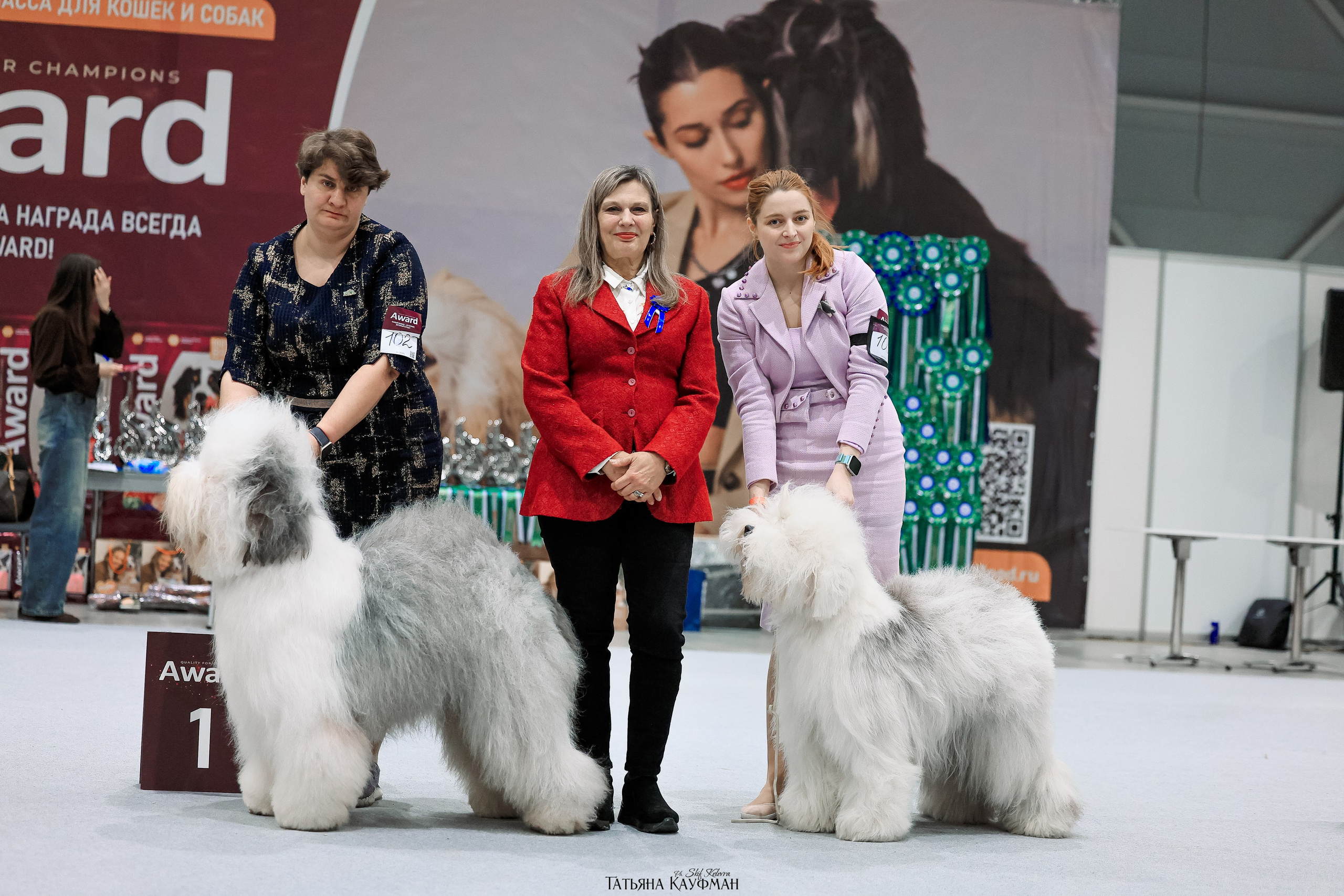28-29.03.2026 Рейтинговая выставка в Новосибирске. Фотограф Анималист из Новосибирска Татьяна Кауфман