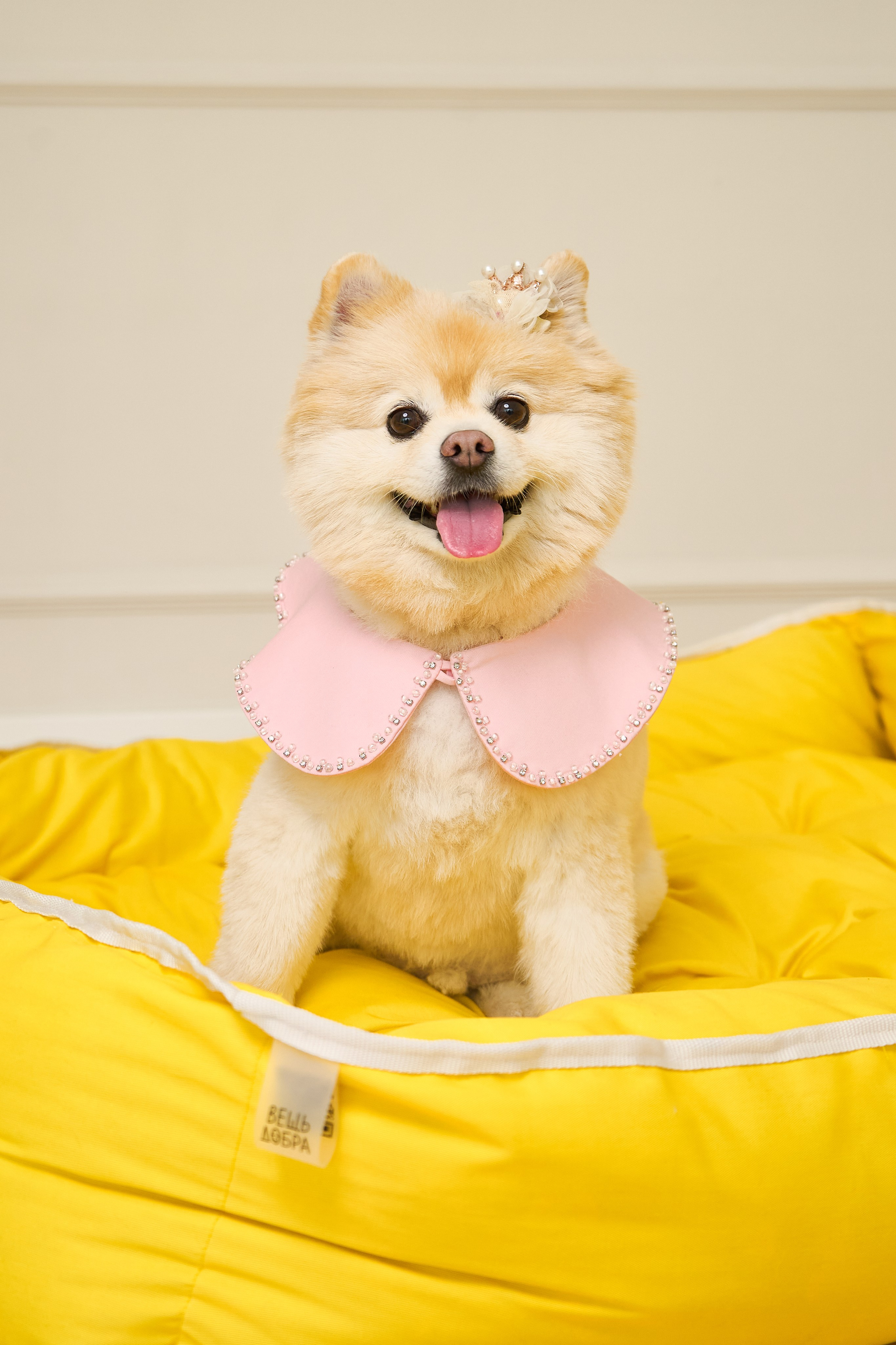 Вещь добра. Фотограф для брендов и маркетплейсов Екатеринбург Екатерина Дроздова