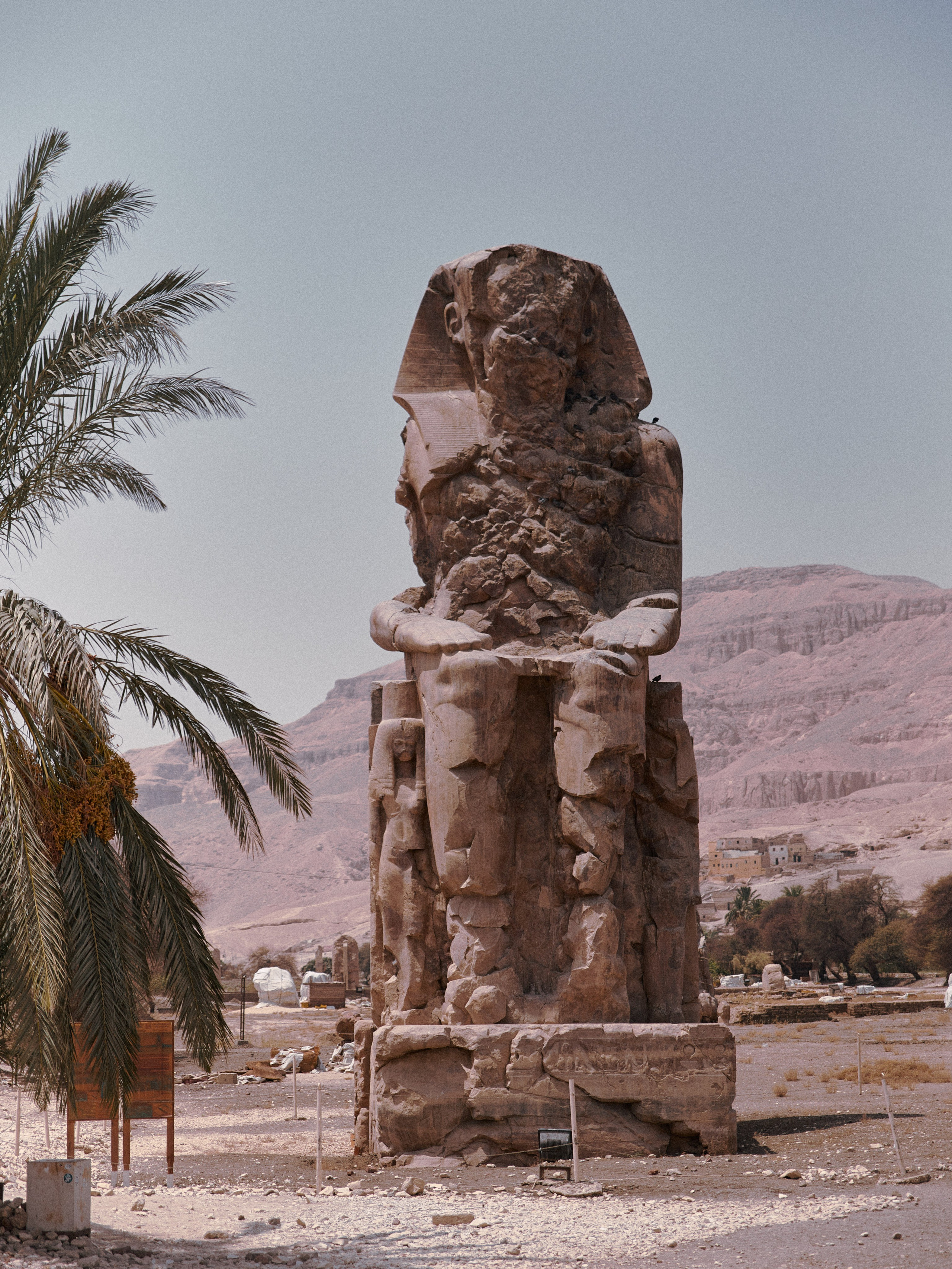 Природа сквозь. Jorgis Talè — photographer, kind person, teacher of arts and other mag