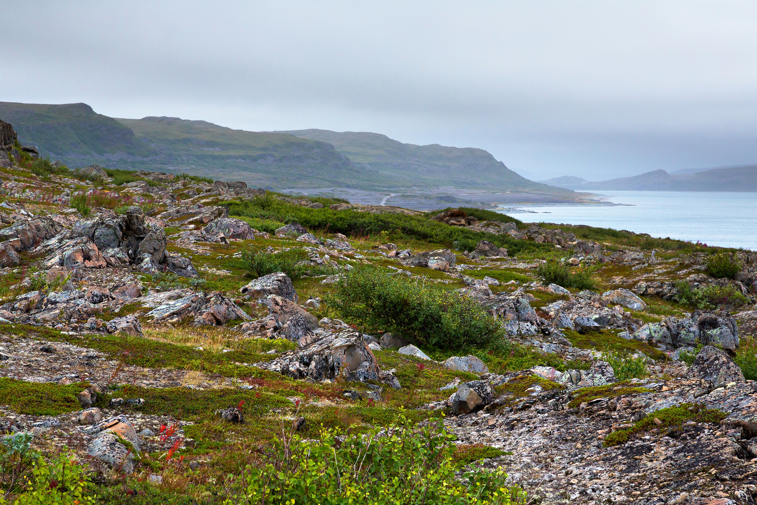 Полуостров Рыбачий. Пейзажи Крайнего Севера. Баренцево море, Рыбачий, Средний, Немецкий
